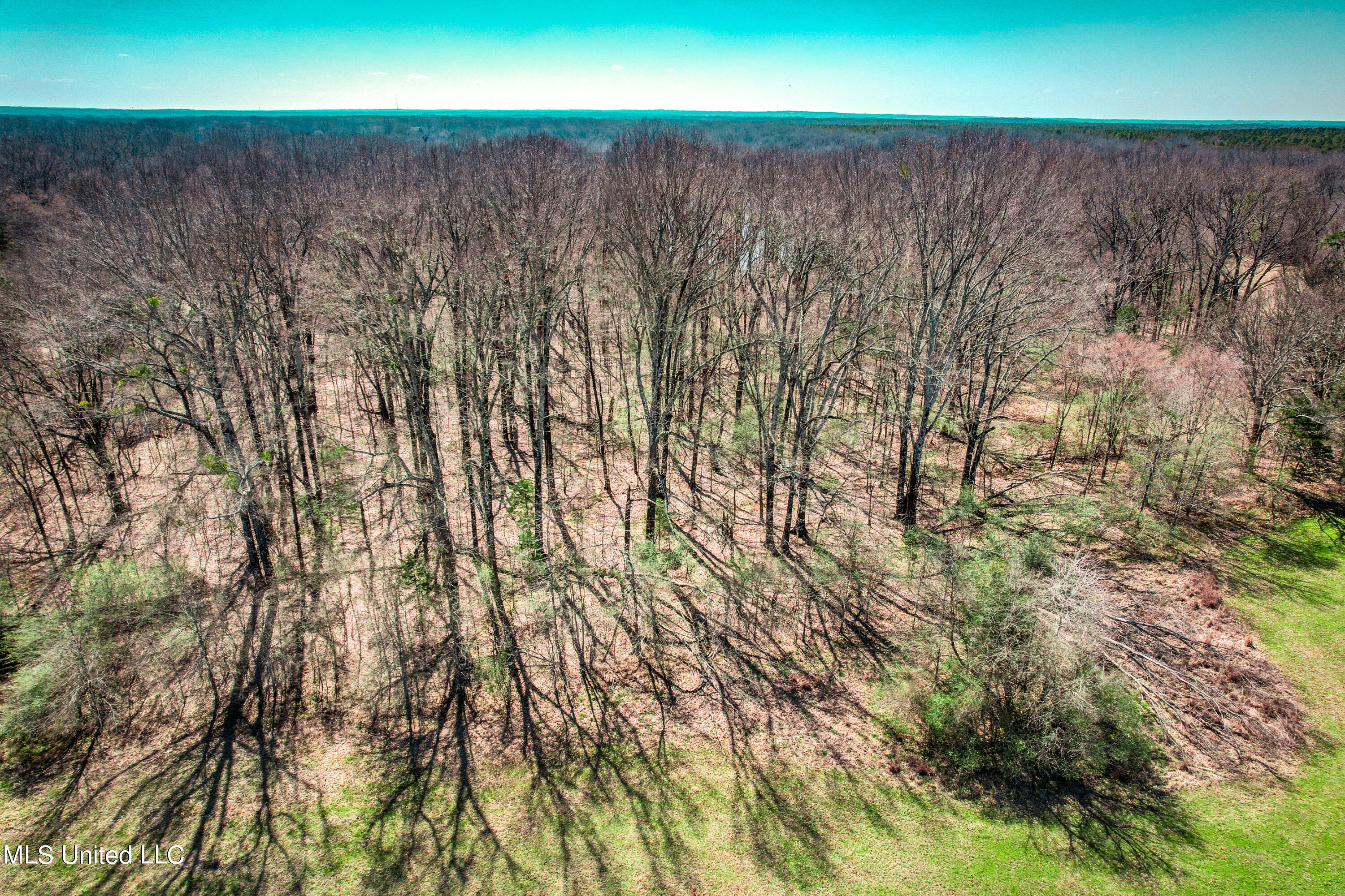 Hwy 49, Flora, Mississippi image 9