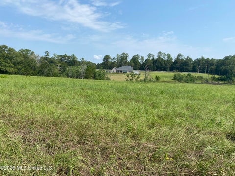 Vacant Land For Sale - Oak Drive<br/> Perkinston, MS 39573