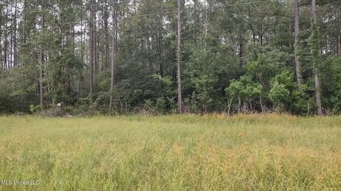 Vacant Land For Sale - Ms-43 N<br/> Picayune, MS 39466