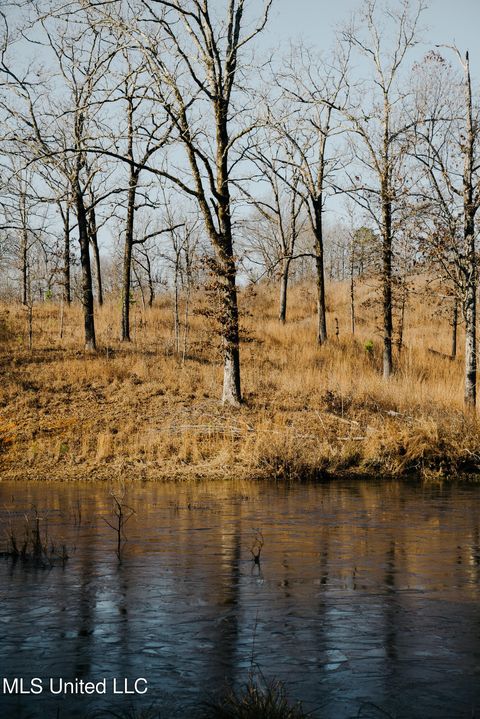 Vacant Land For Sale - County Road 70<br/> Coffeeville, MS 38922