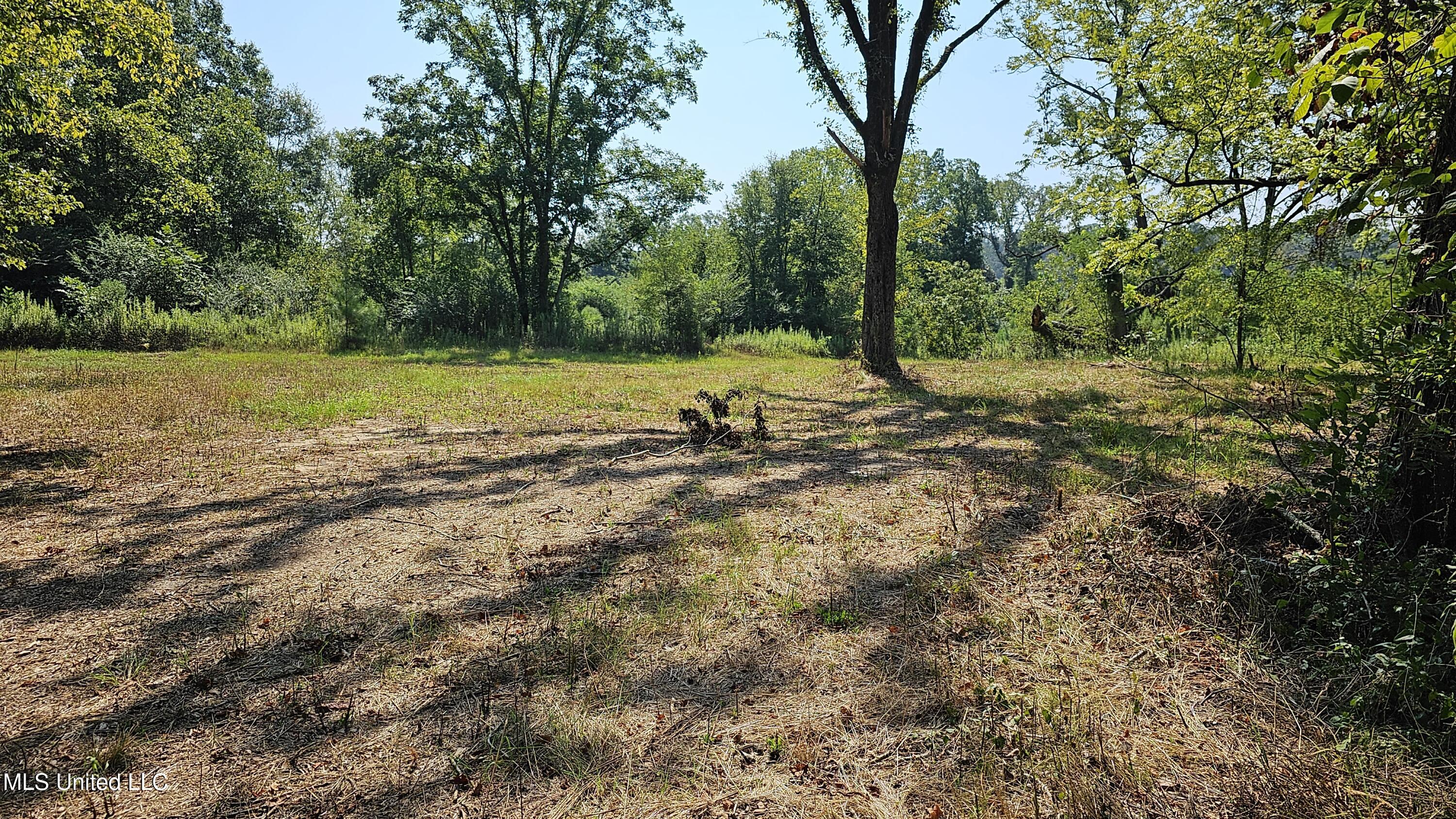 Rathell Road, Lexington, Mississippi image 8