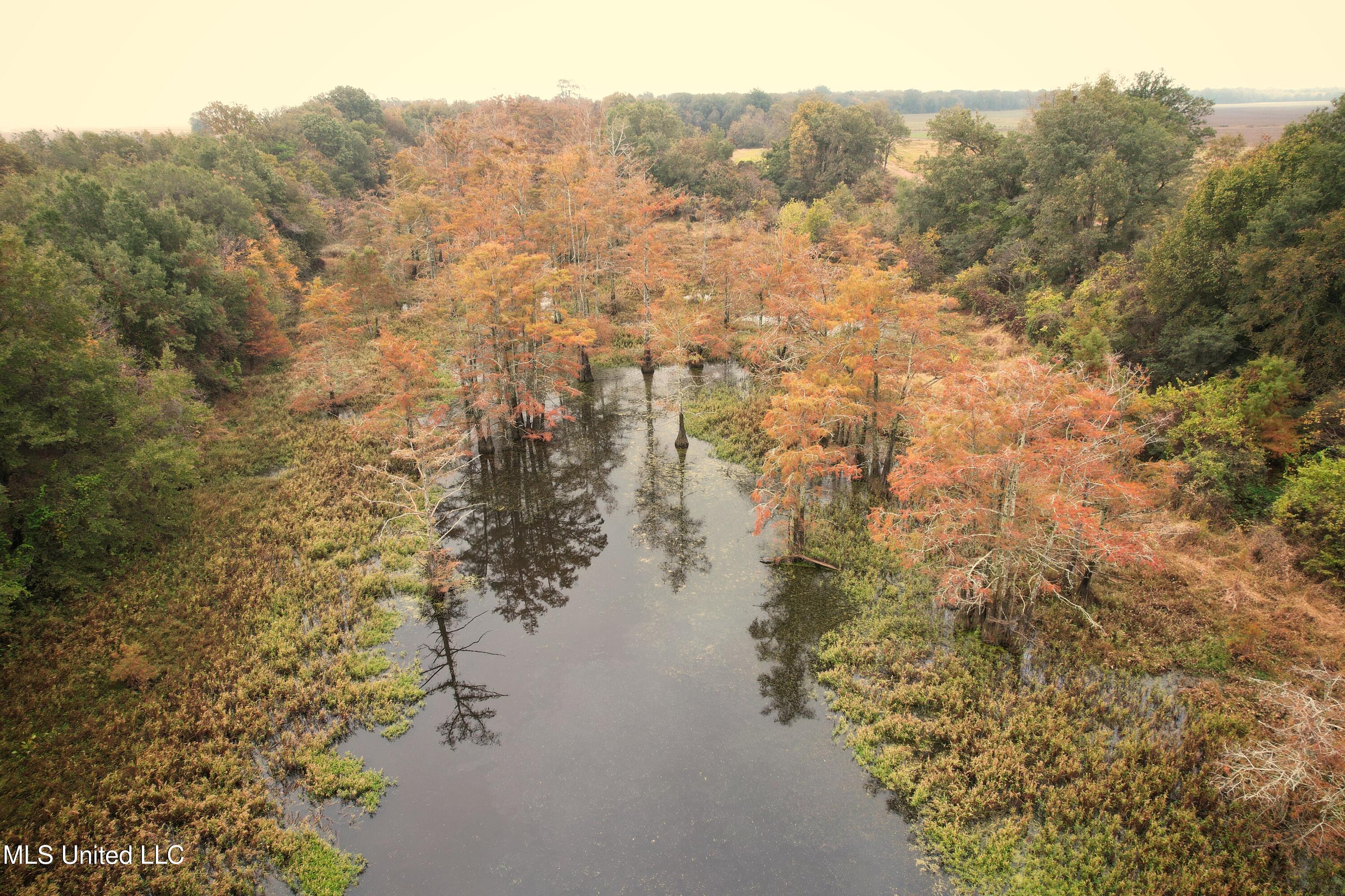 Drew Ruleville Road, Ruleville, Mississippi image 6