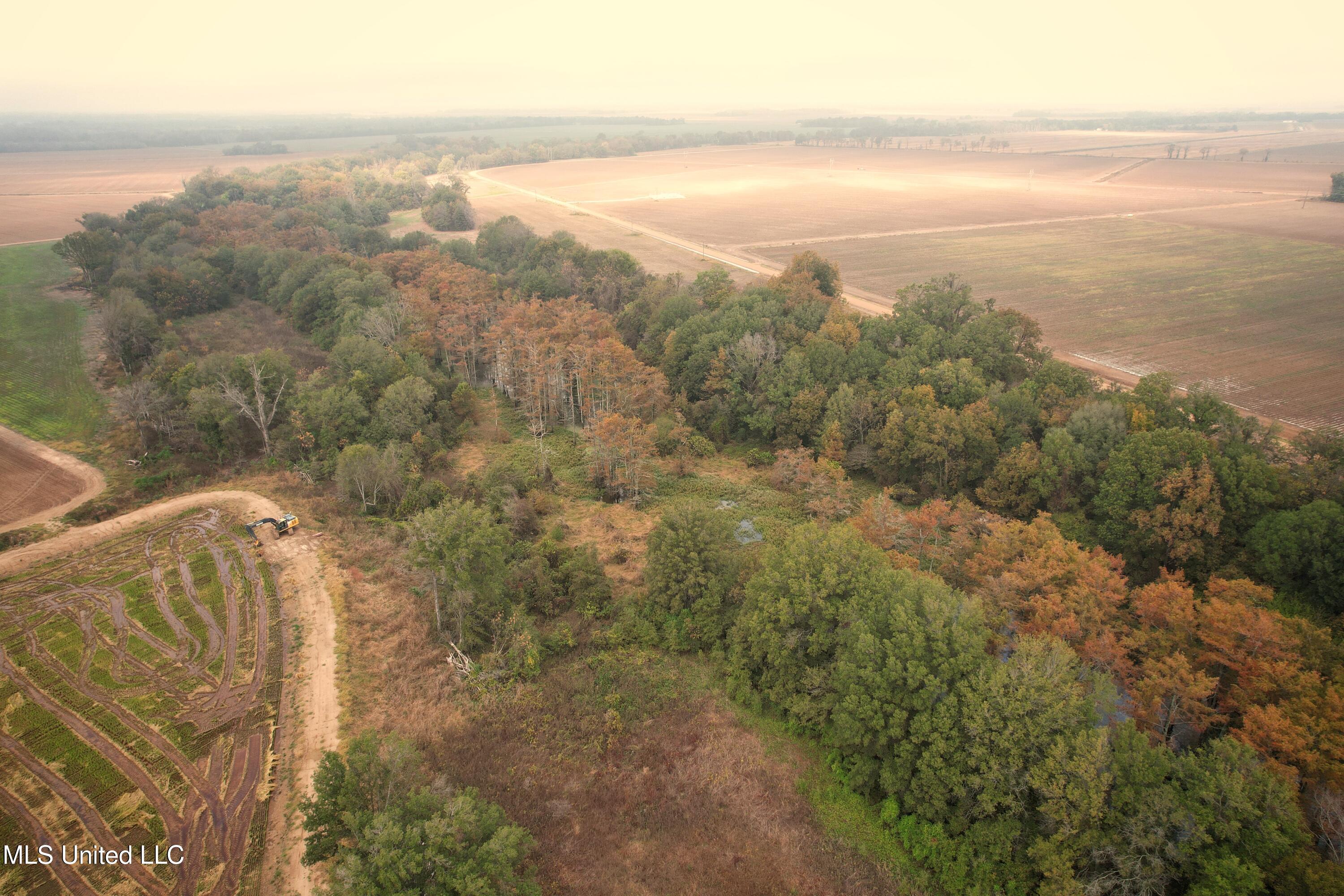 Drew Ruleville Road, Ruleville, Mississippi image 3