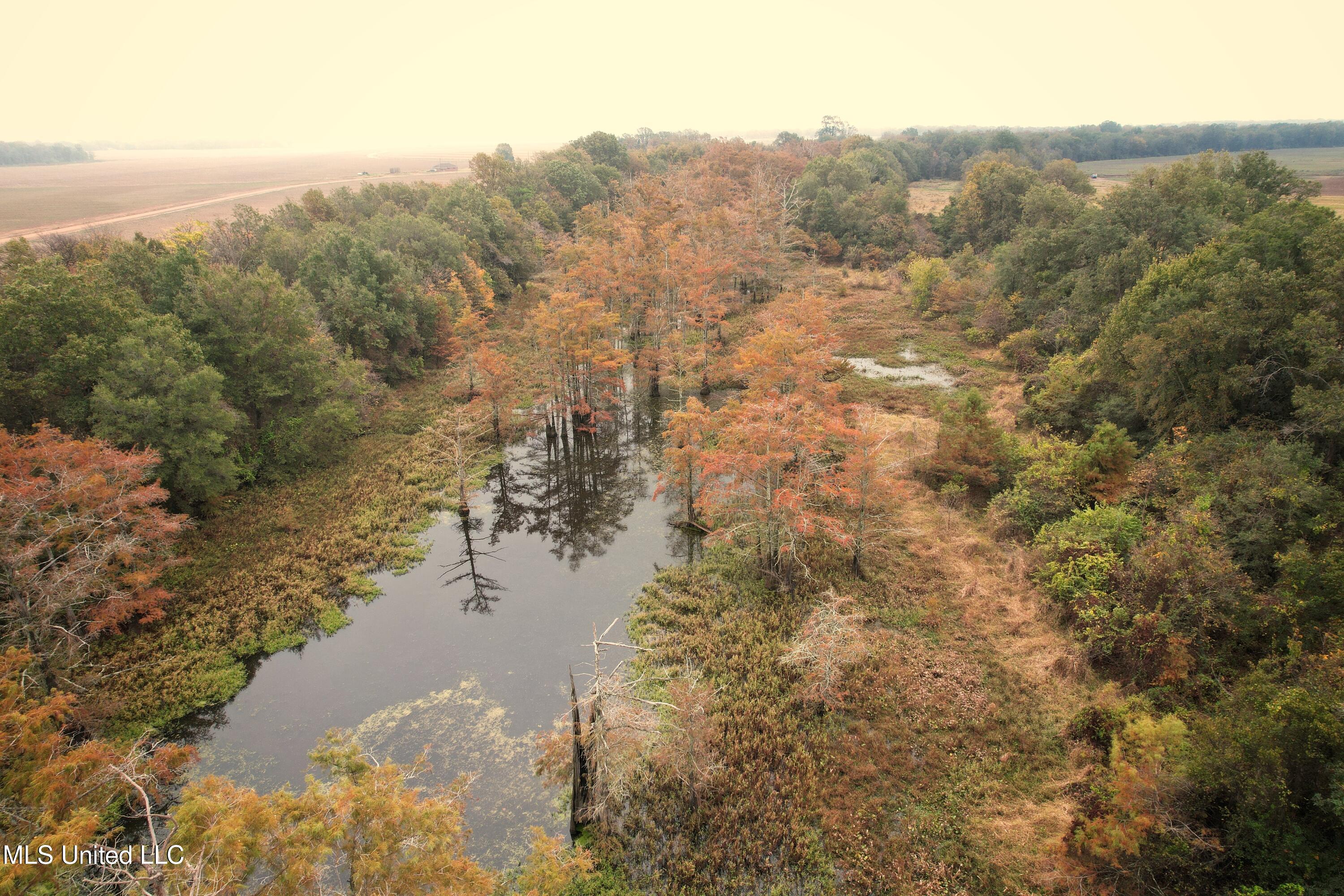 Drew Ruleville Road, Ruleville, Mississippi image 5