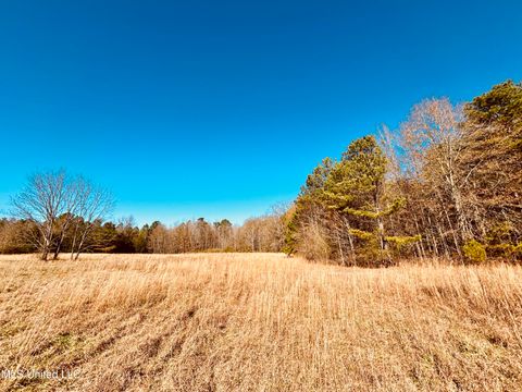 Vacant Land For Sale - Mississippi 12<br/> Durant, MS 39063