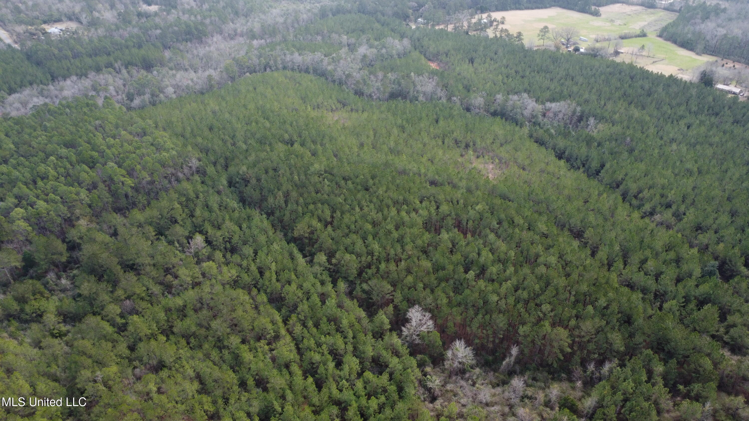 89 Ac Highway 63 N & Fork Rd, Lucedale, Mississippi image 13