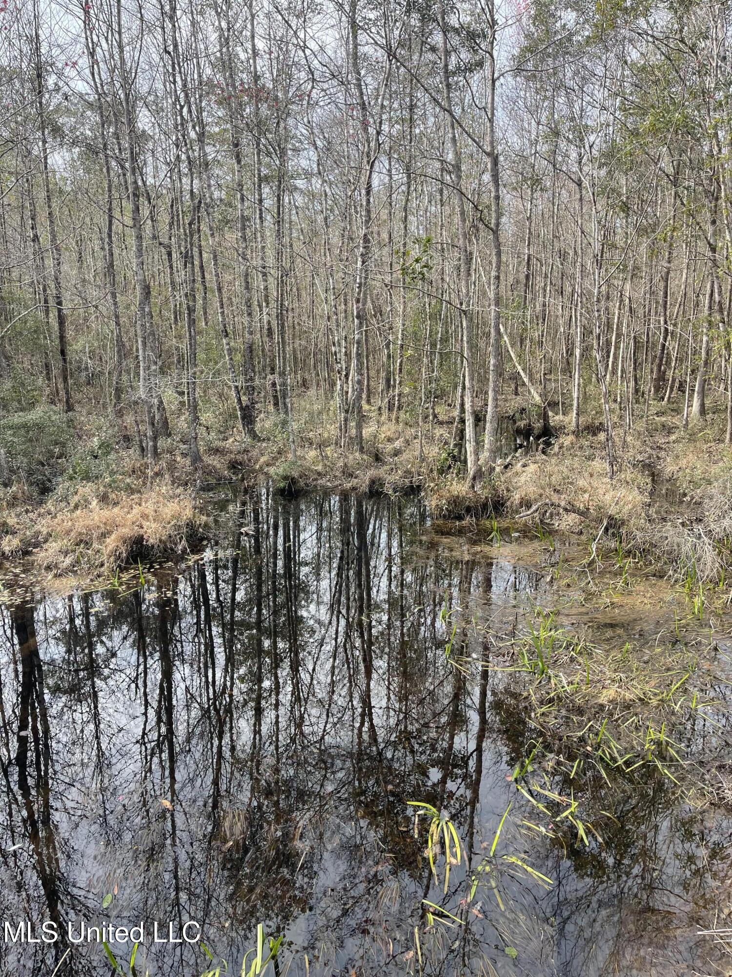 89 Ac Highway 63 N & Fork Rd, Lucedale, Mississippi image 10