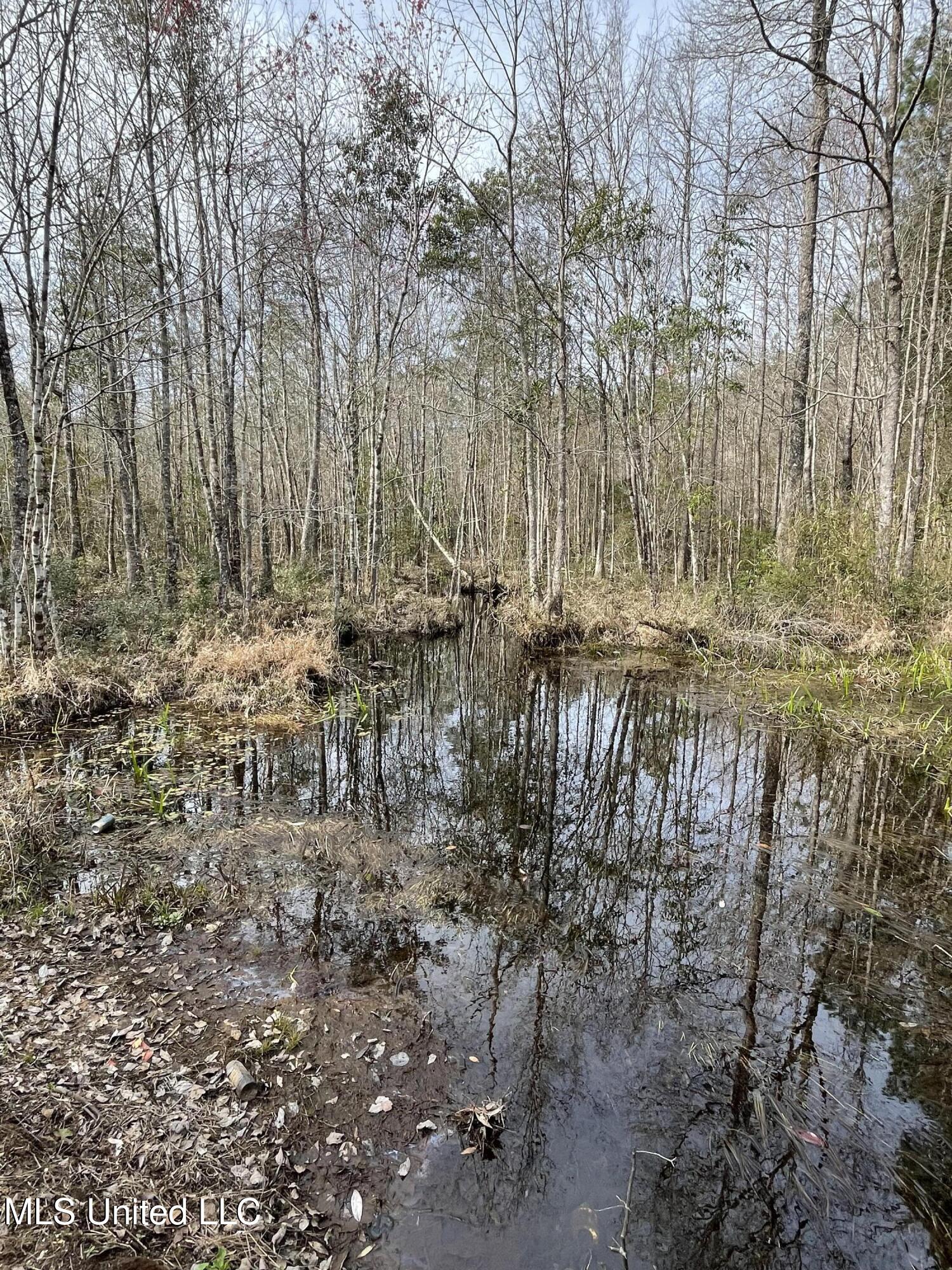 89 Ac Highway 63 N & Fork Rd, Lucedale, Mississippi image 8