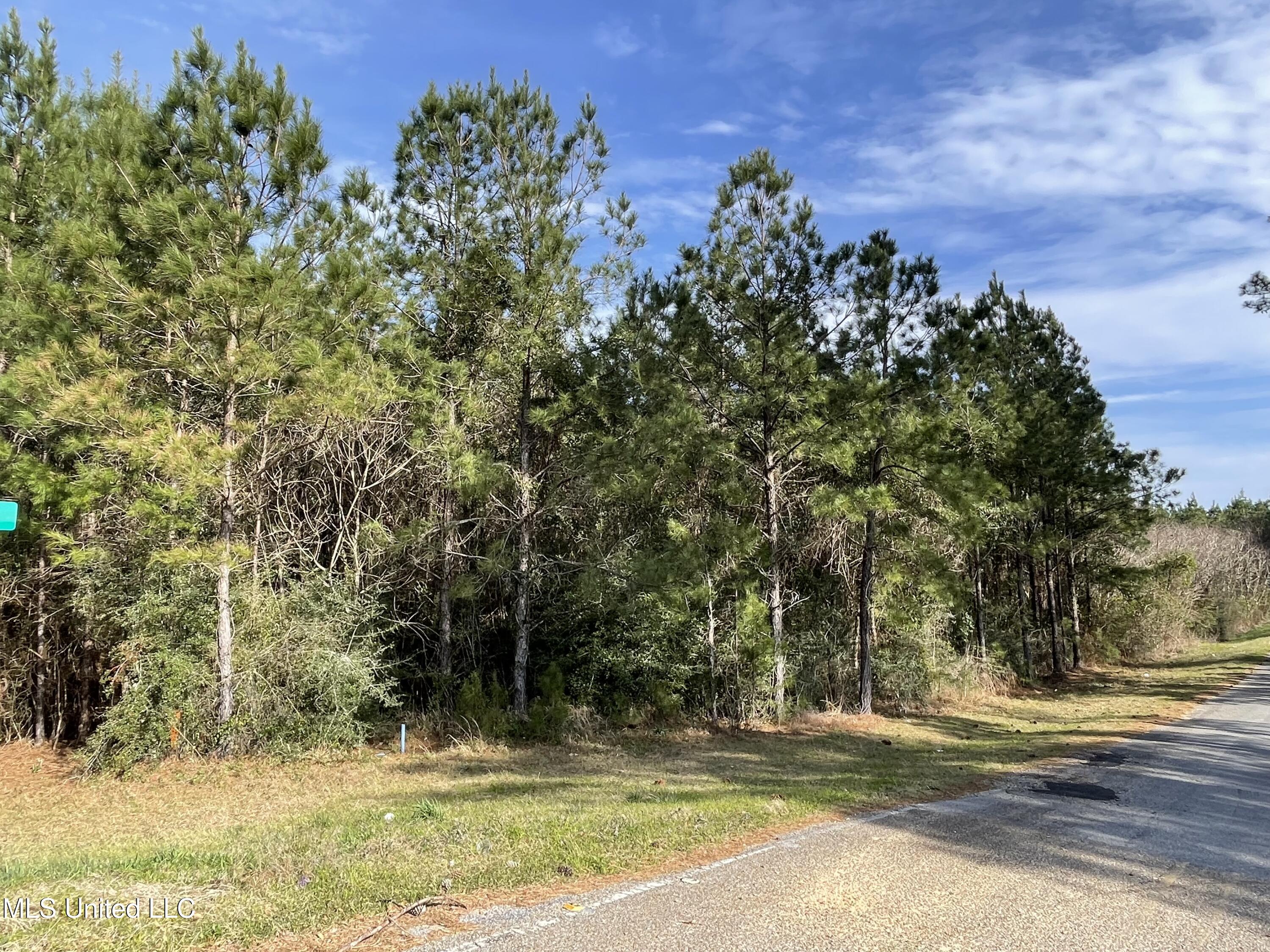 89 Ac Highway 63 N & Fork Rd, Lucedale, Mississippi image 4