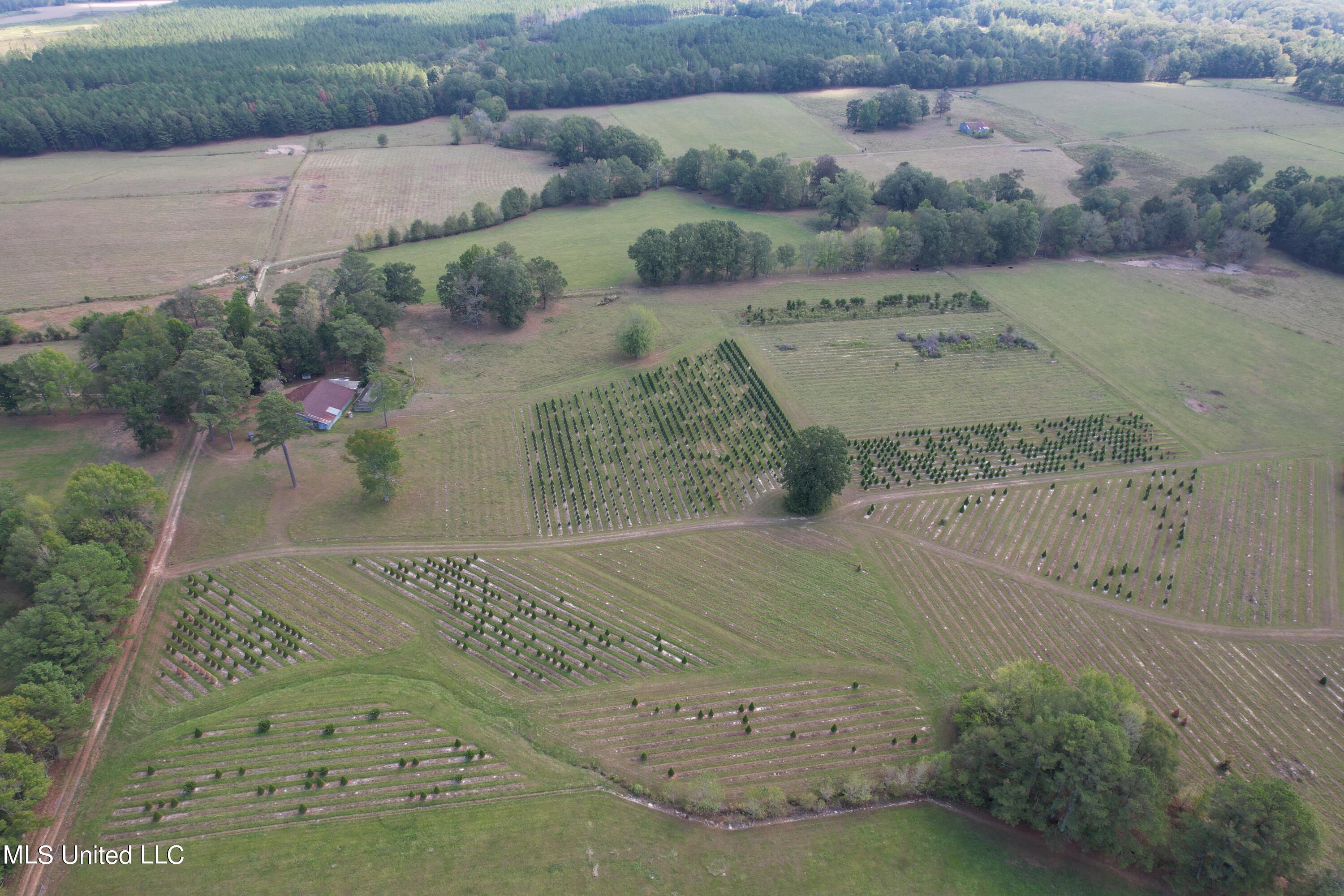 Harrell Road, Pelahatchie, Mississippi image 29