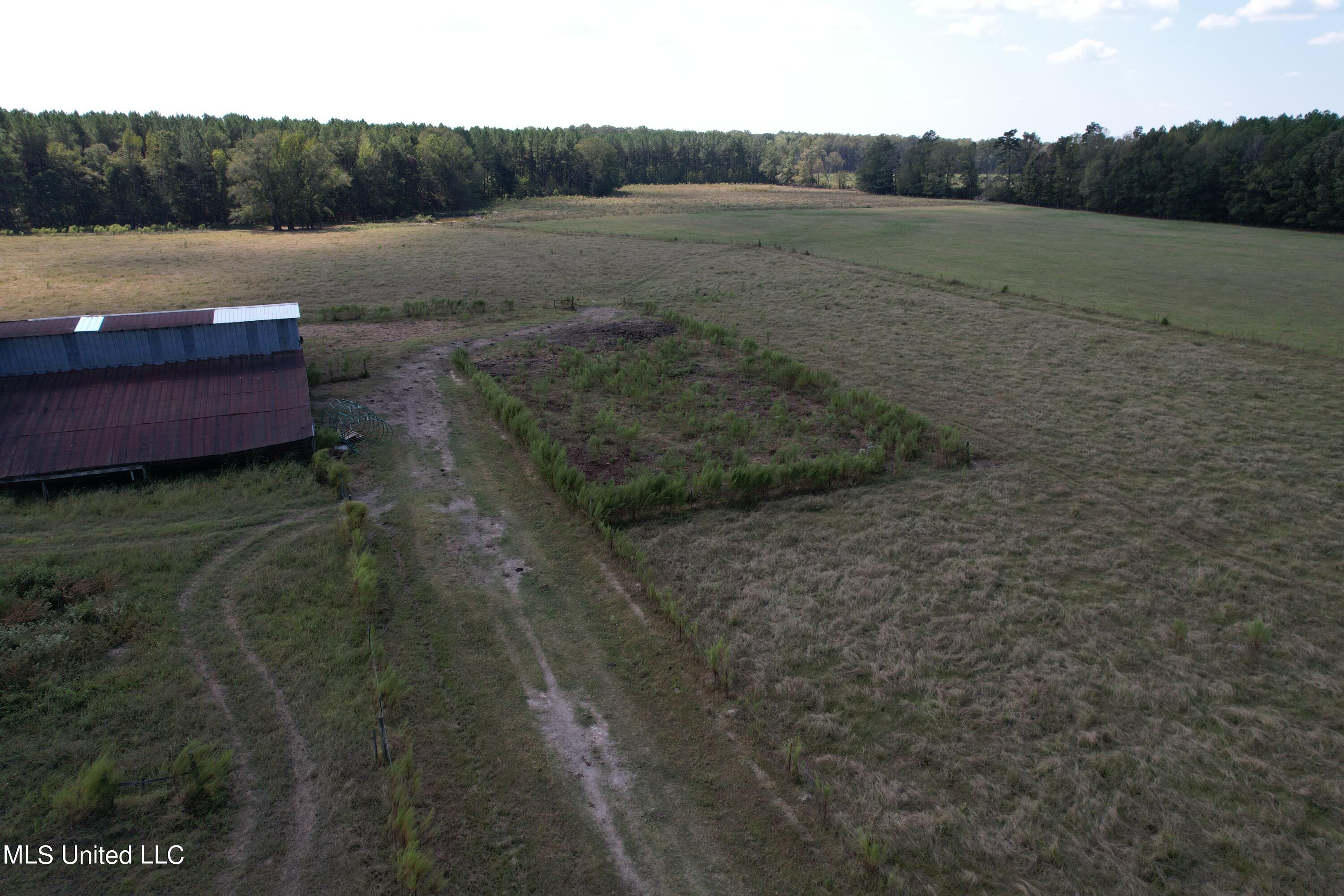 Harrell Road, Pelahatchie, Mississippi image 18