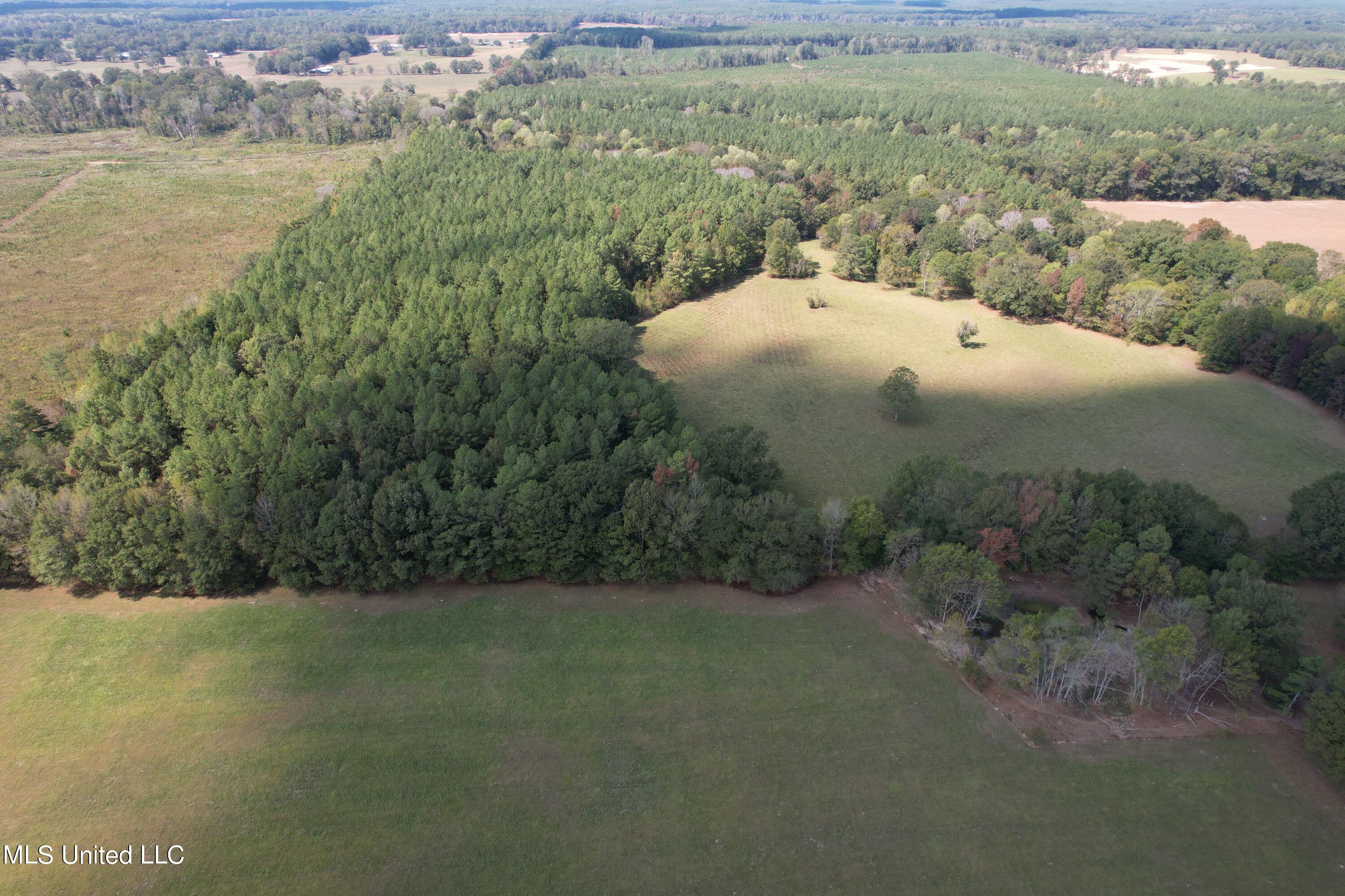 Harrell Road, Pelahatchie, Mississippi image 7