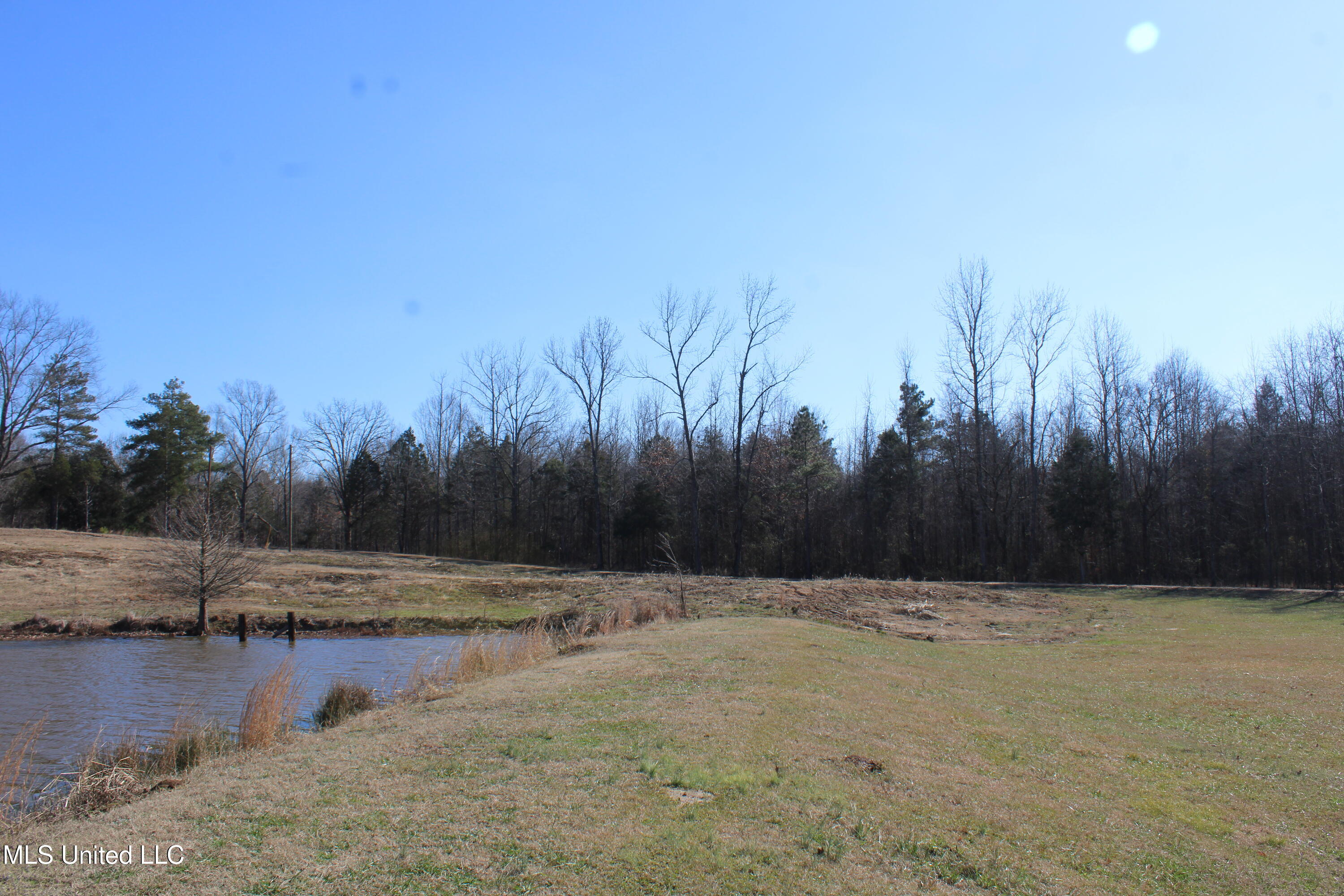 8705 Cole Road, Olive Branch, Mississippi image 9