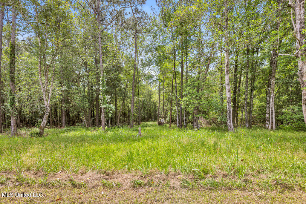 20546 Pullen Road, Saucier, Mississippi image 37