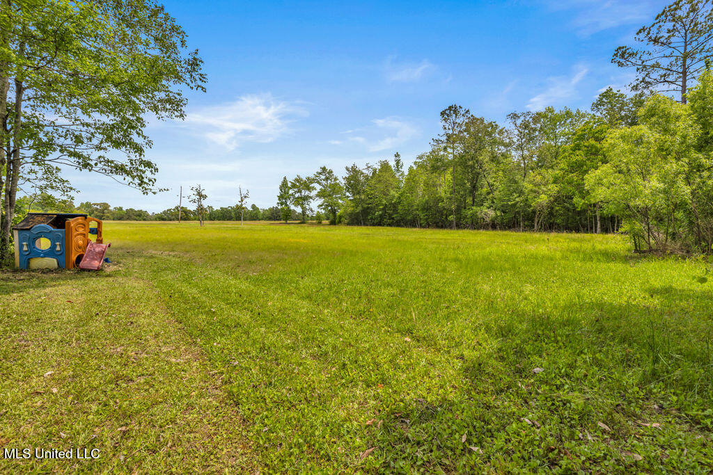 20546 Pullen Road, Saucier, Mississippi image 39