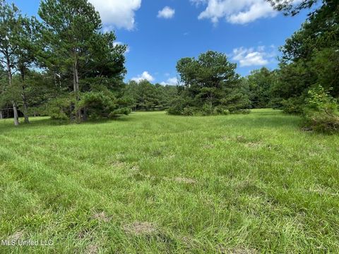 Vacant Land For Sale - 10290 County Road 4306<br/> Neshoba County, Union, MS 39365