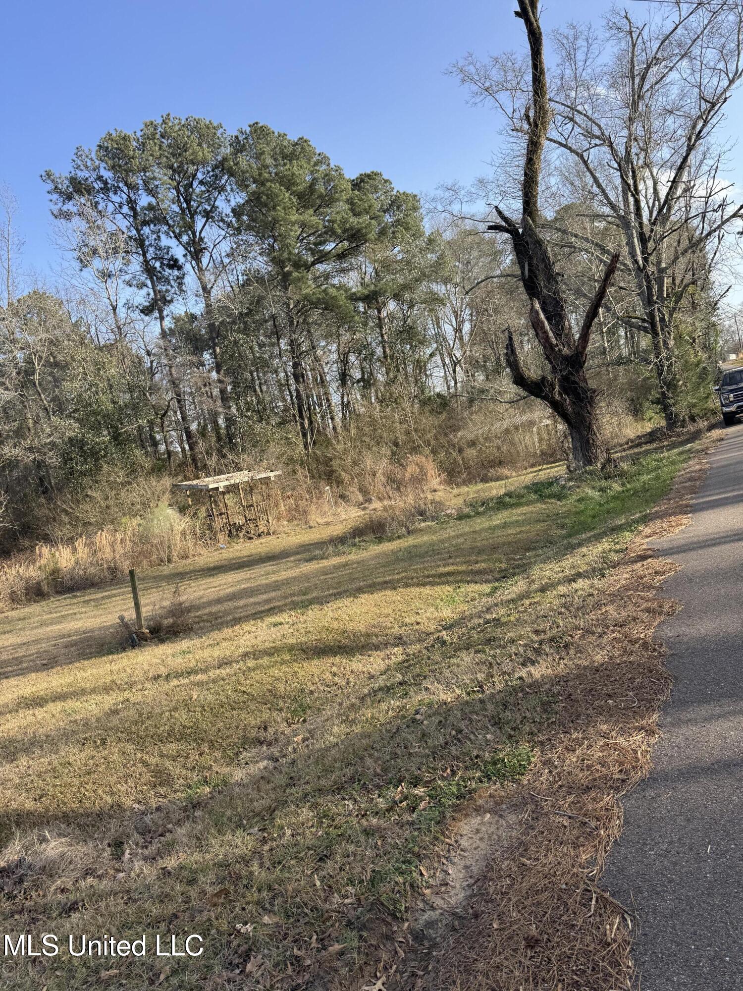 1739 Pettey Road, Forest, Mississippi image 3