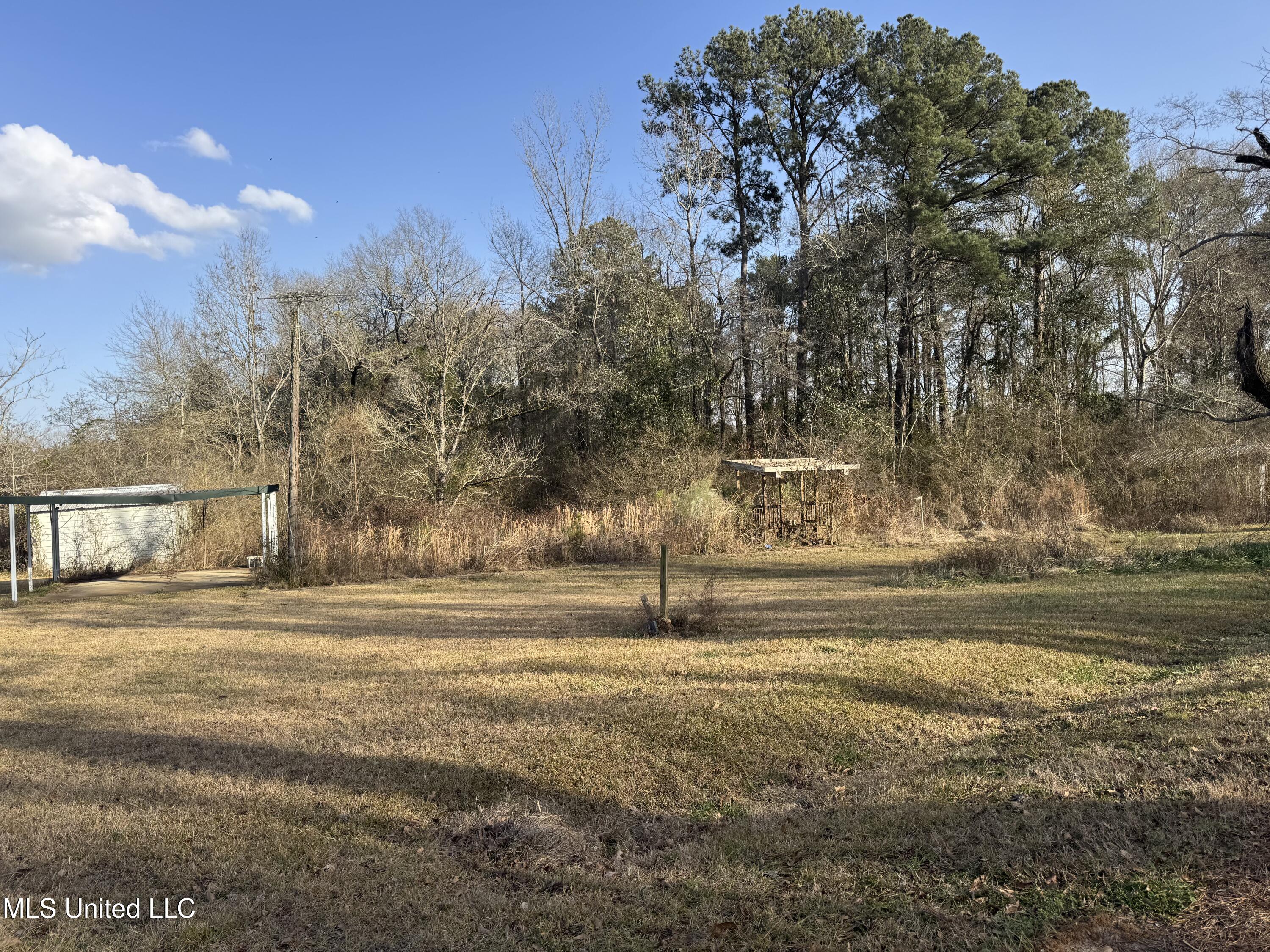 1739 Pettey Road, Forest, Mississippi image 4