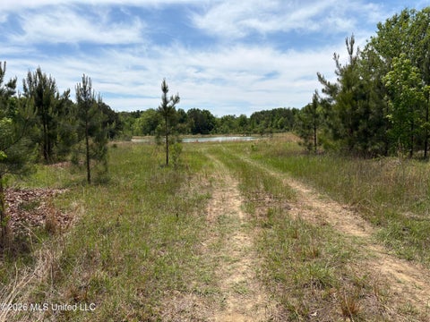 Vacant Land For Sale - Finney Road<br/> Canton, MS 39046