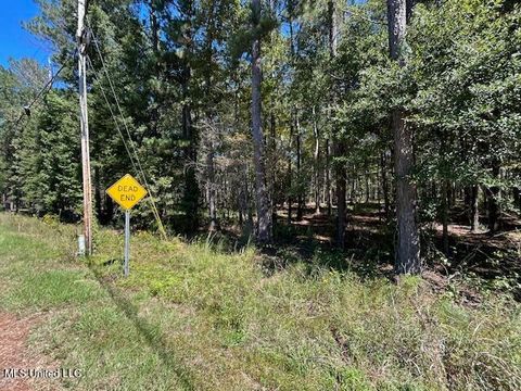 Vacant Land For Sale - Country Lake Dr<br/> Summit, MS 39666