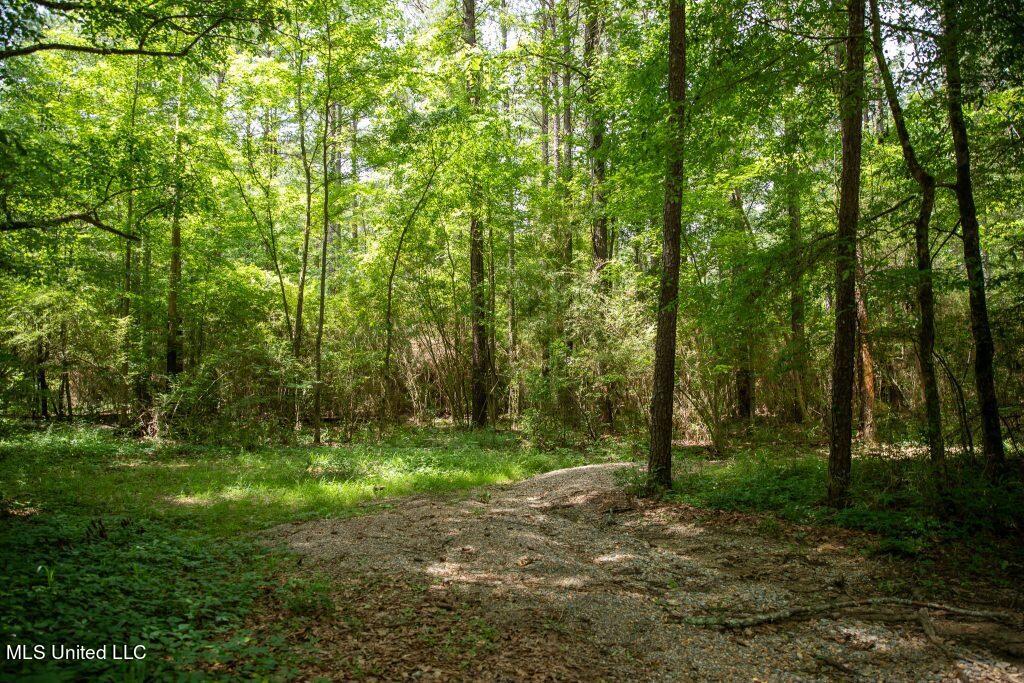 Ashley Road, Puckett, Mississippi image 1