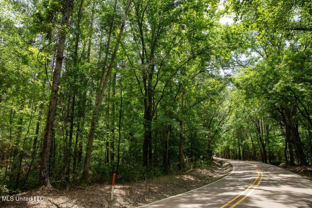 Ashley Road, Puckett, Mississippi image 26