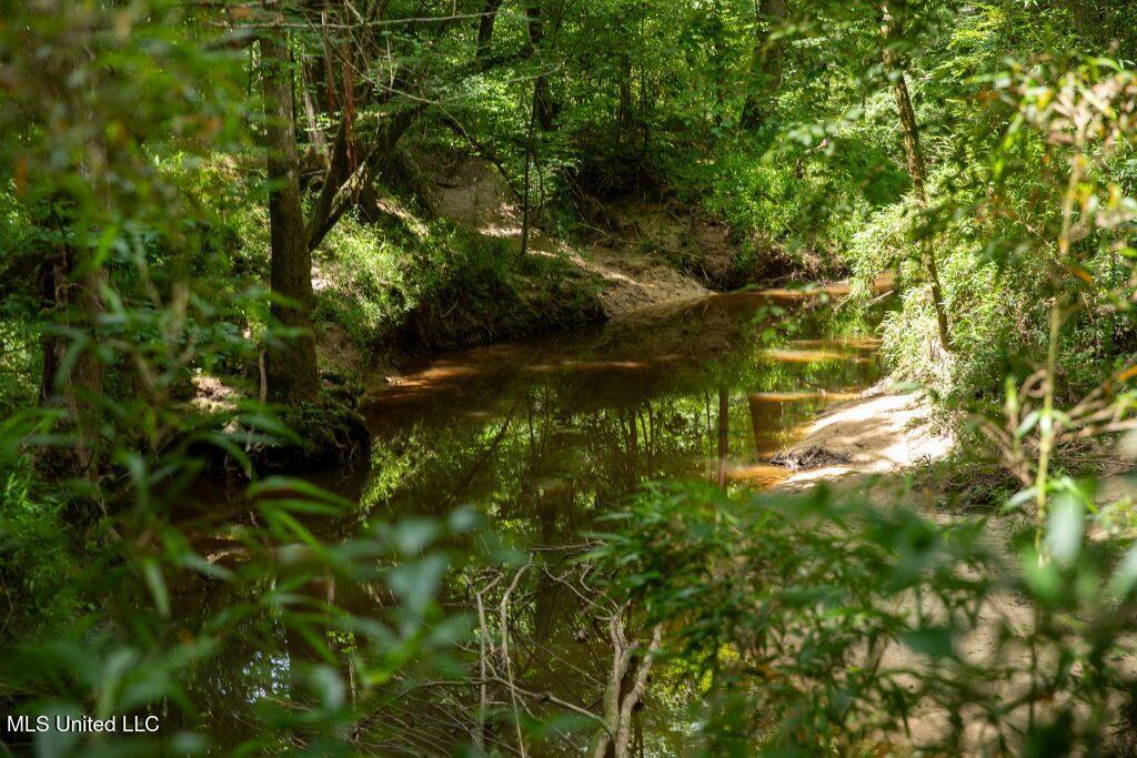 Ashley Road, Puckett, Mississippi image 16