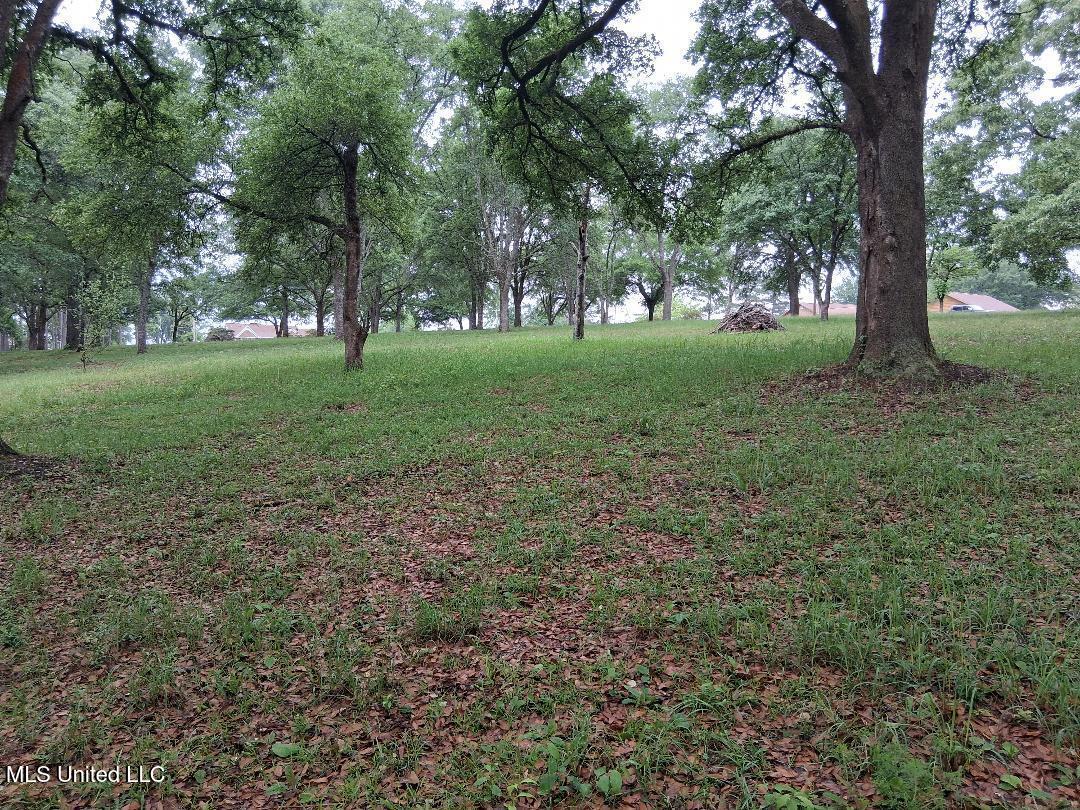 Redgate Road, Lucedale, Mississippi image 16