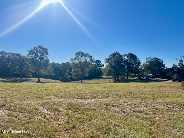 00 Silver Drive, Tylertown, Mississippi image 40