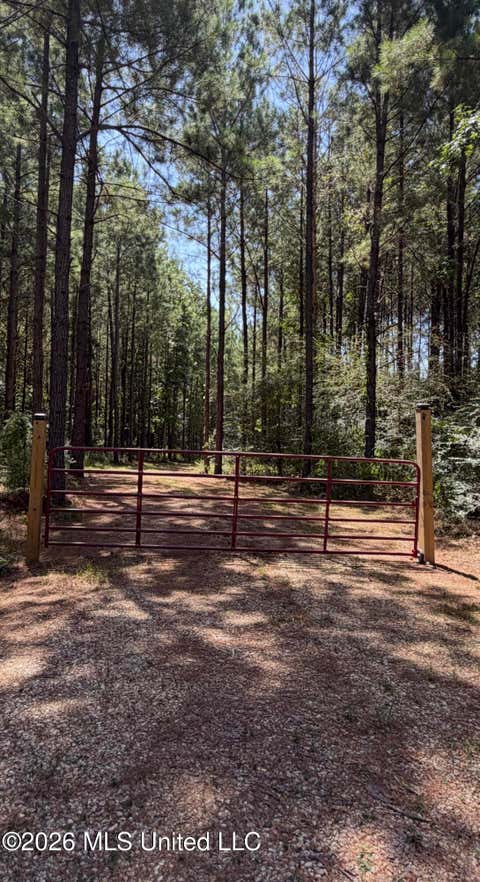 Vacant Land For Sale - 111 Progress Trail<br/> Lamar County, Sumrall, MS 39482