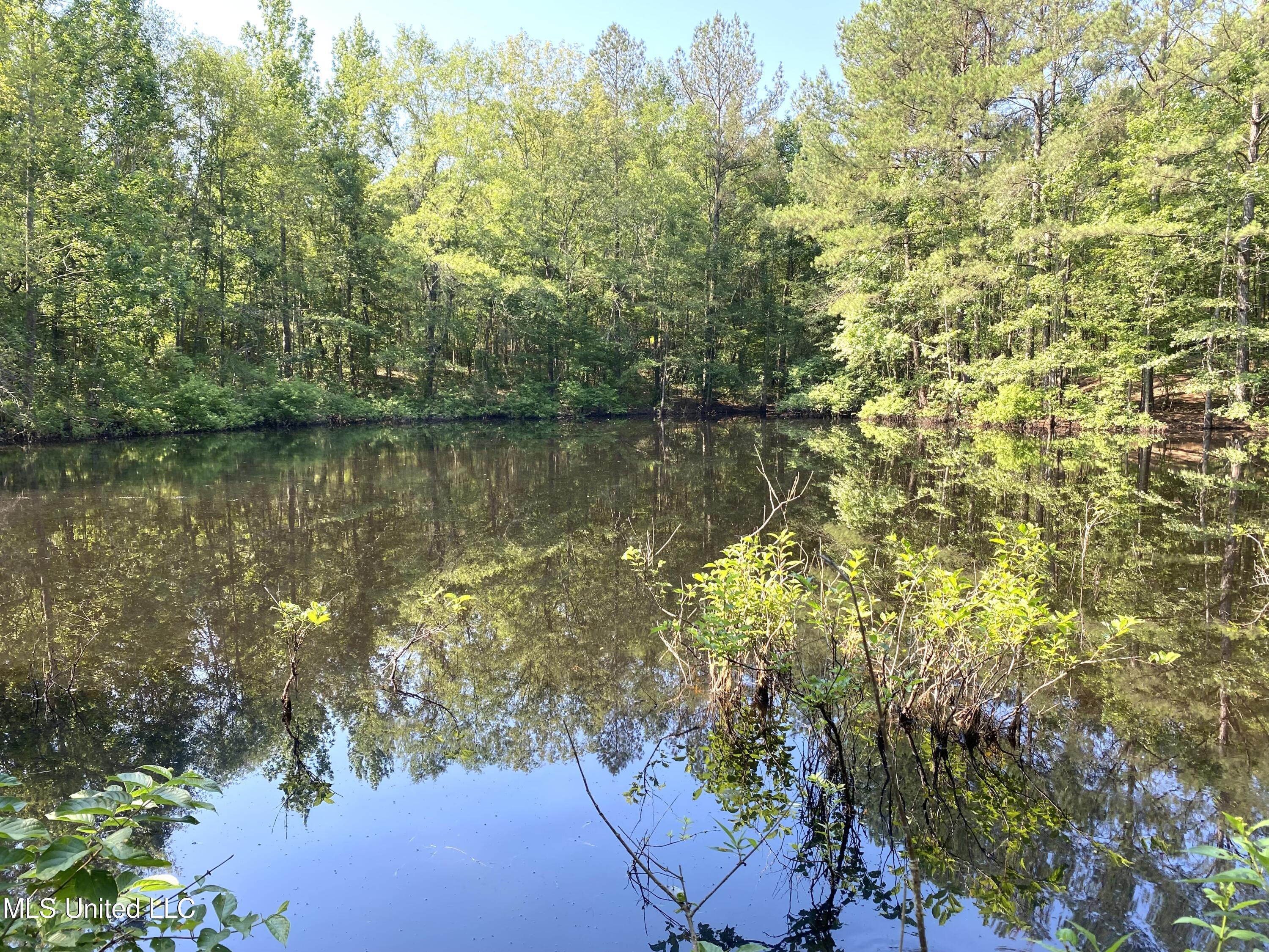 Davidson Road, Walnut Grove, Mississippi image 1