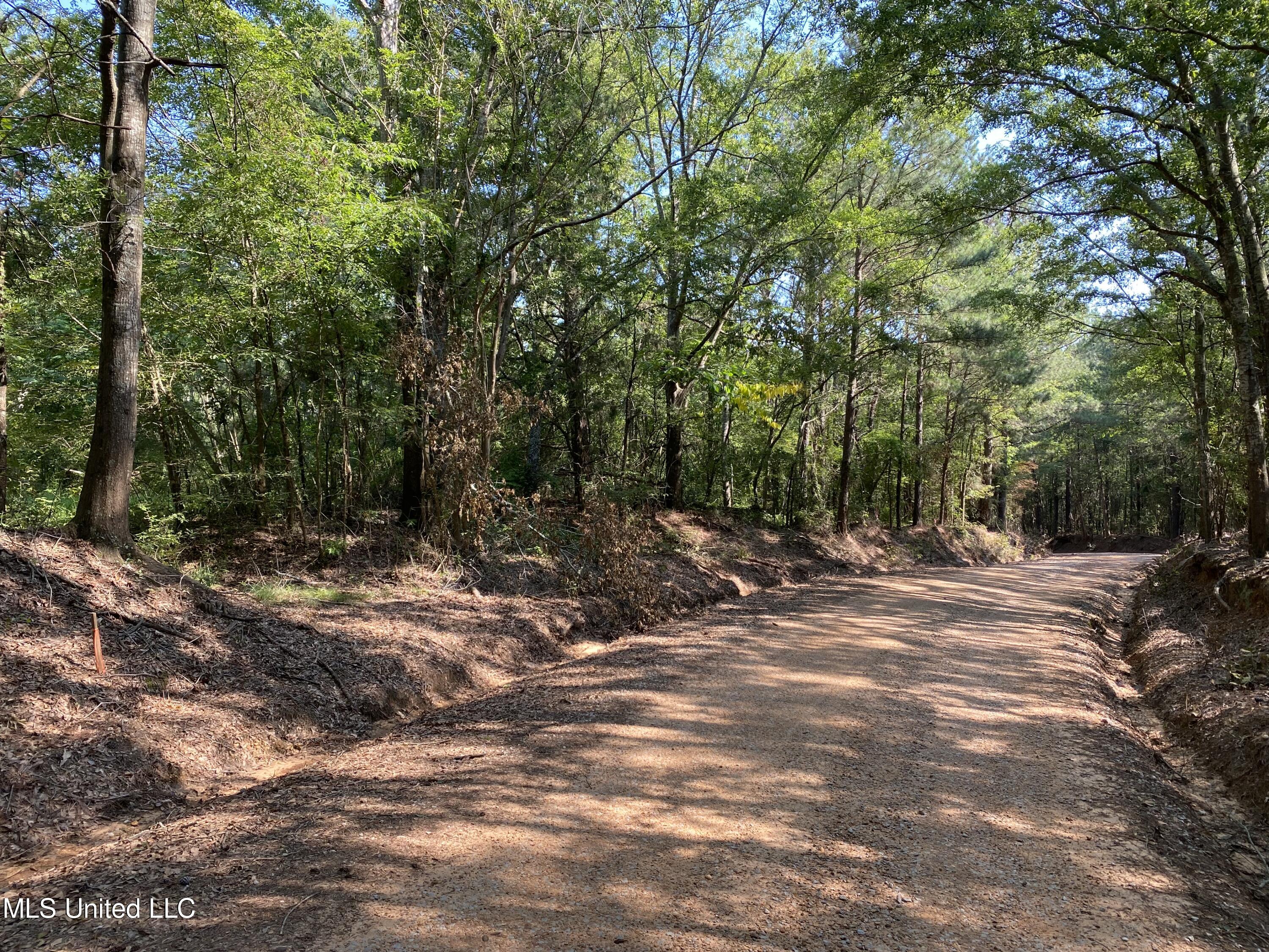 Davidson Road, Walnut Grove, Mississippi image 2