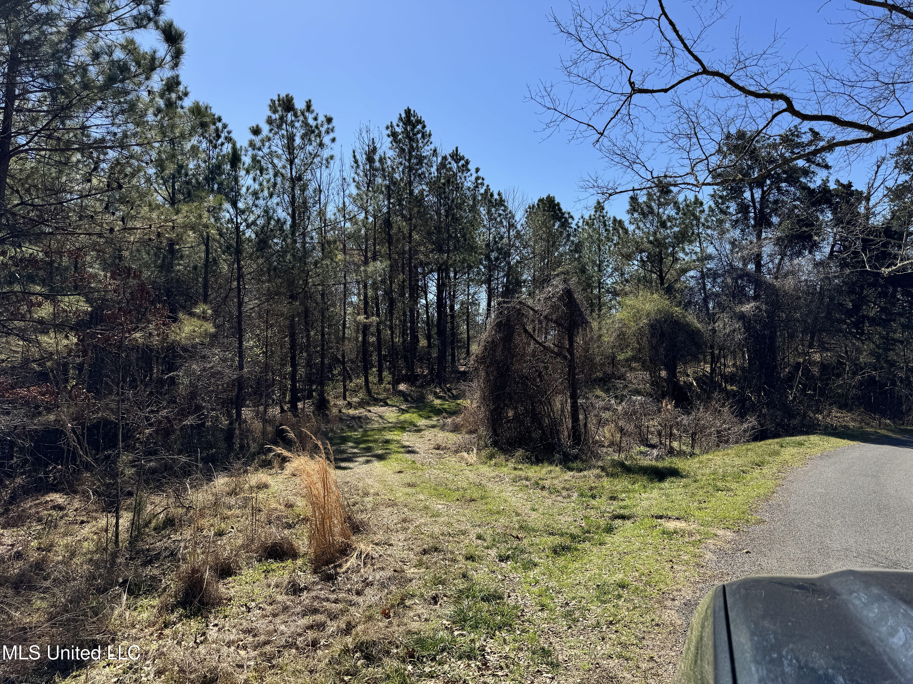 Hickory Ridge Road