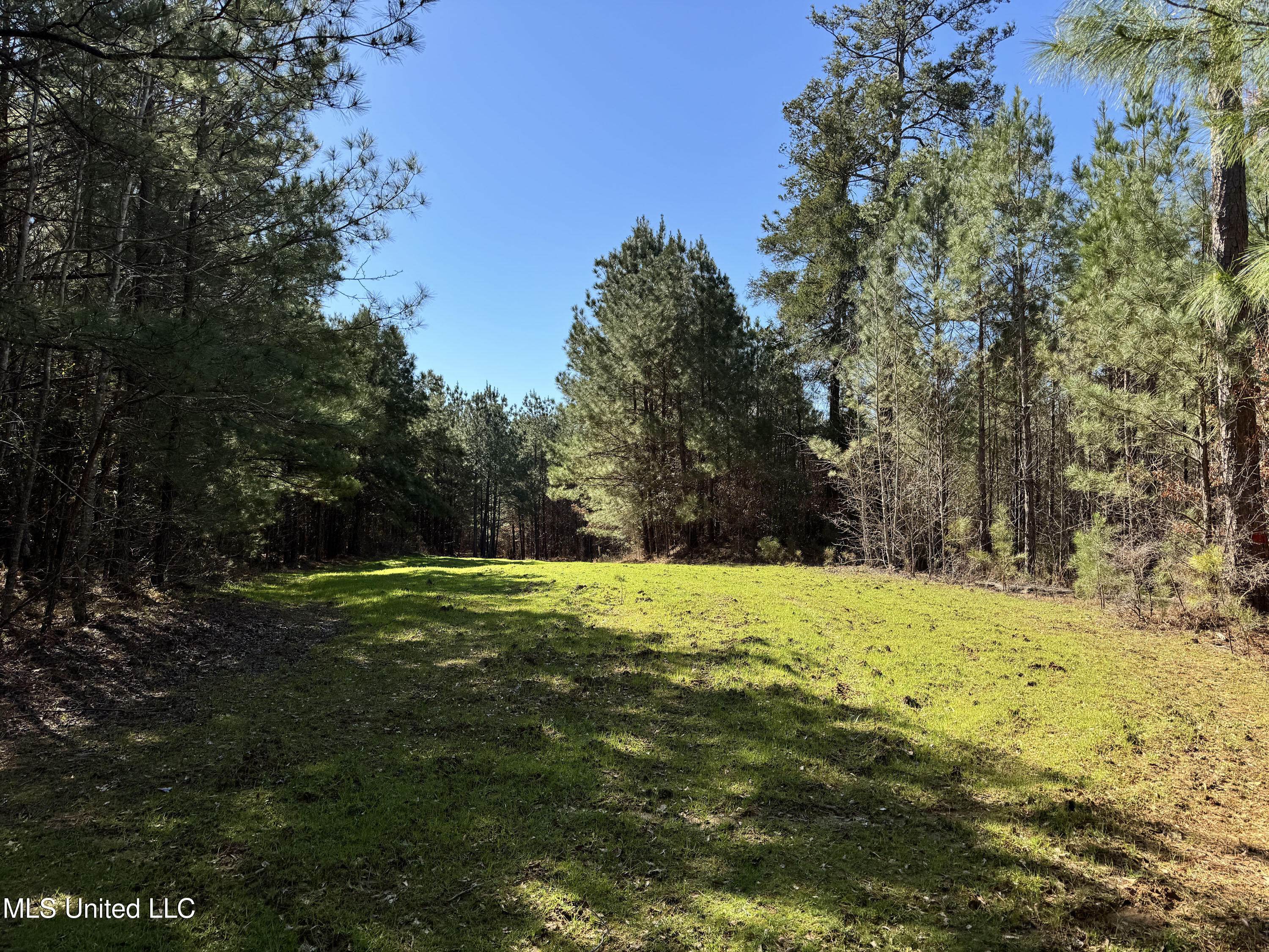 Hickory Ridge Road