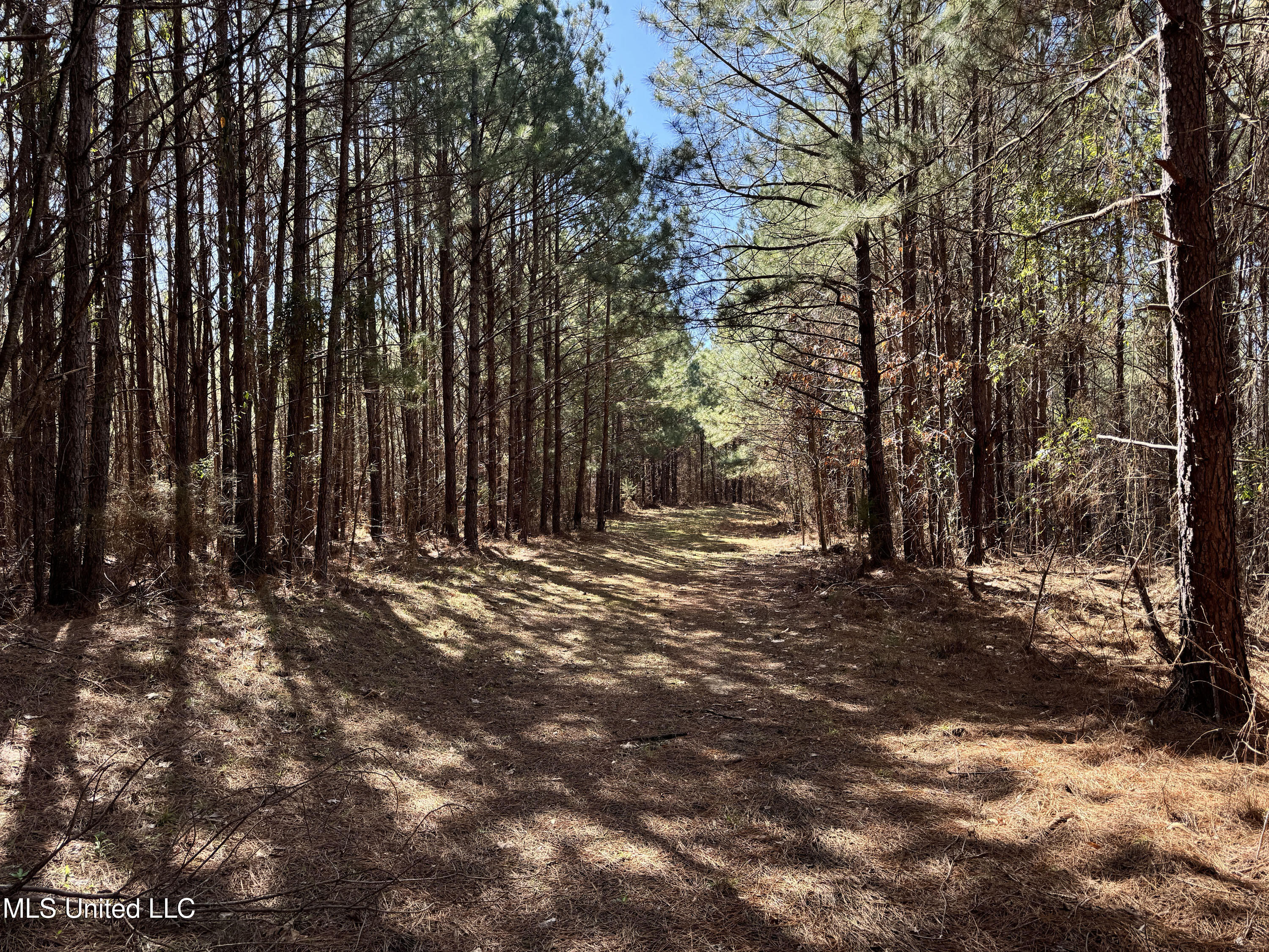 Hickory Ridge Road