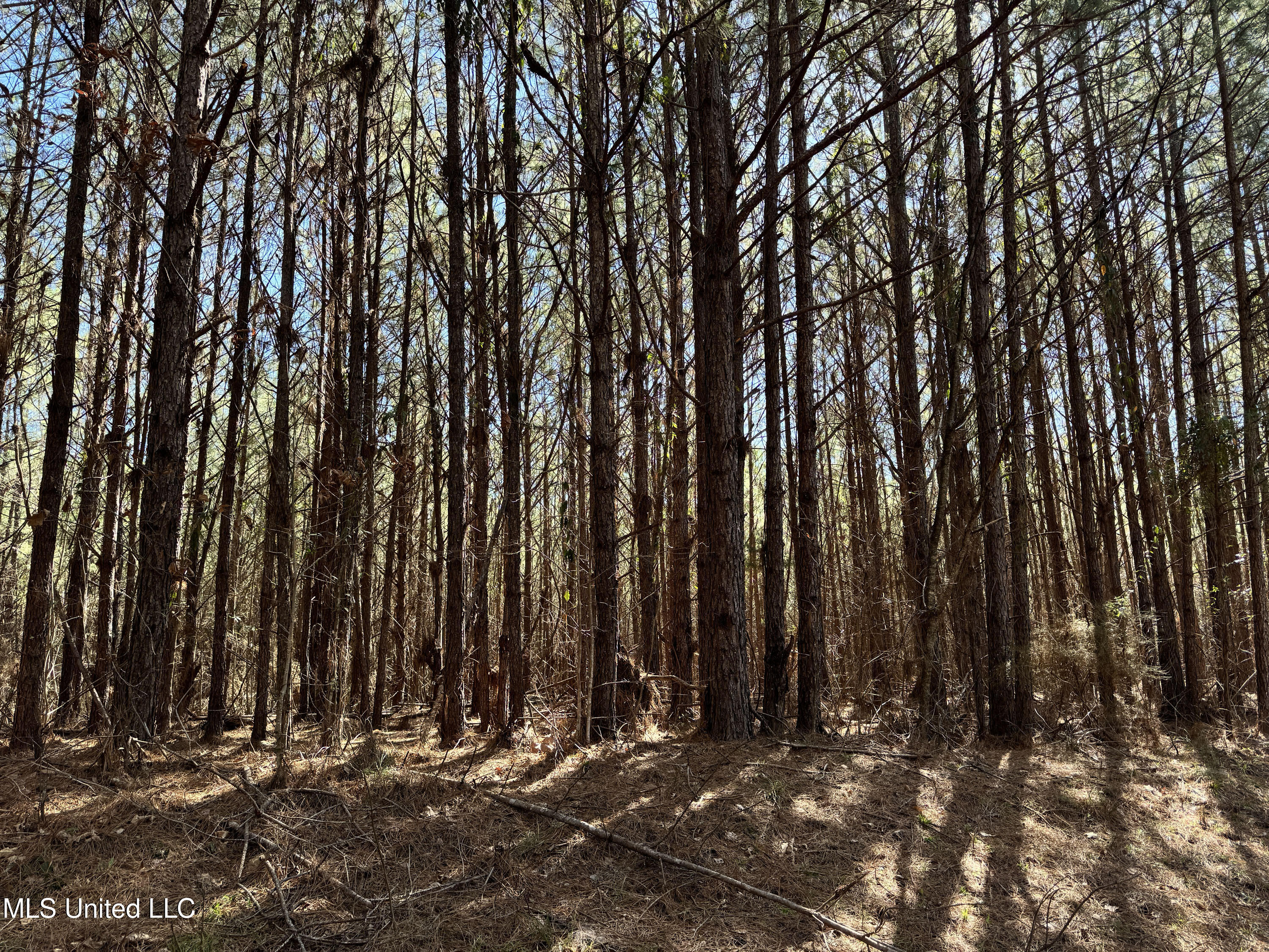 Hickory Ridge Road