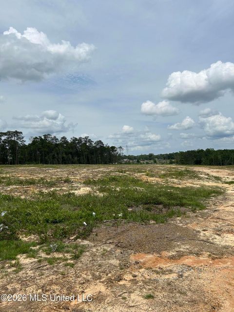 Vacant Land For Sale - Old Highway 63<br/> Lucedale, MS 39452