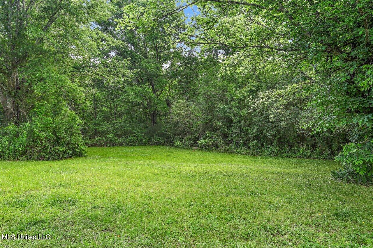 3515 Johnson Line Road, Bolton, Mississippi image 30