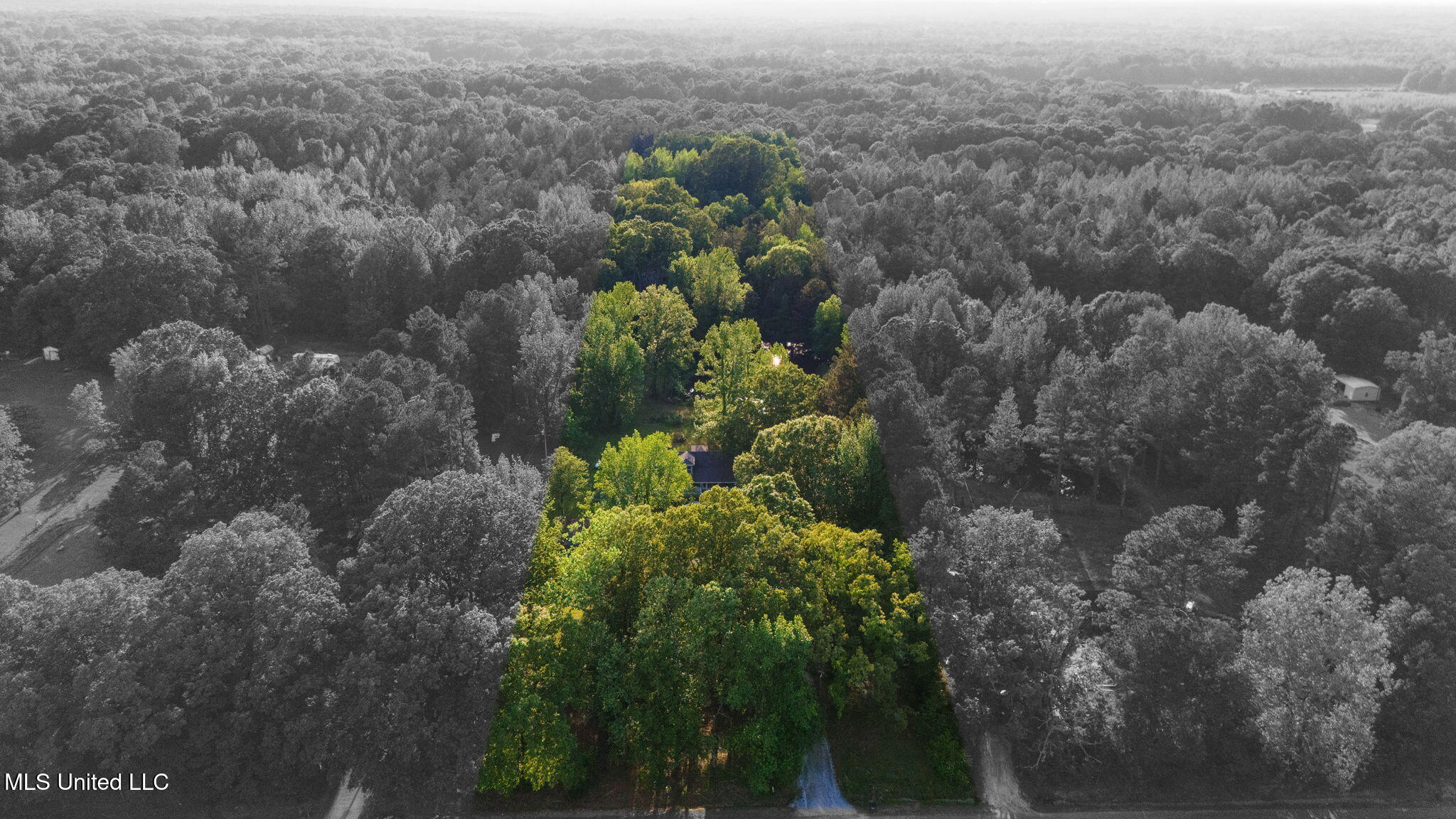 2015 Bubba Taylor Road, Byhalia, Mississippi image 49