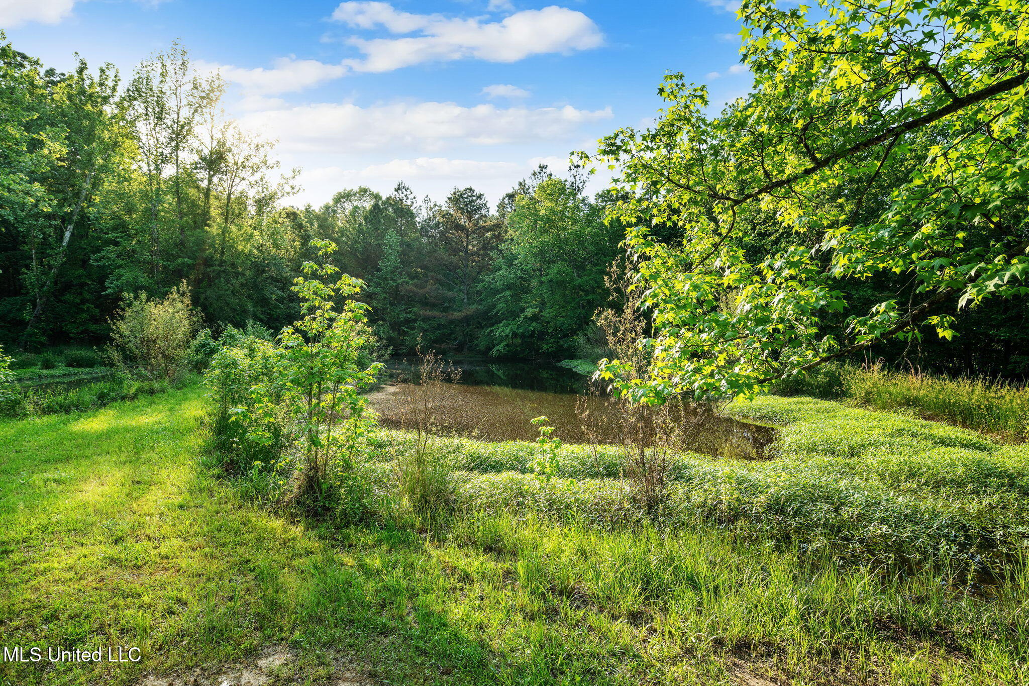 2015 Bubba Taylor Road, Byhalia, Mississippi image 16