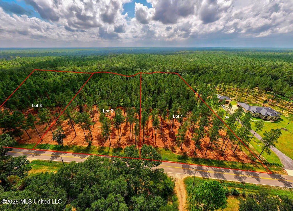 Nhn Lot 2 Ramsey Road - Photo 2