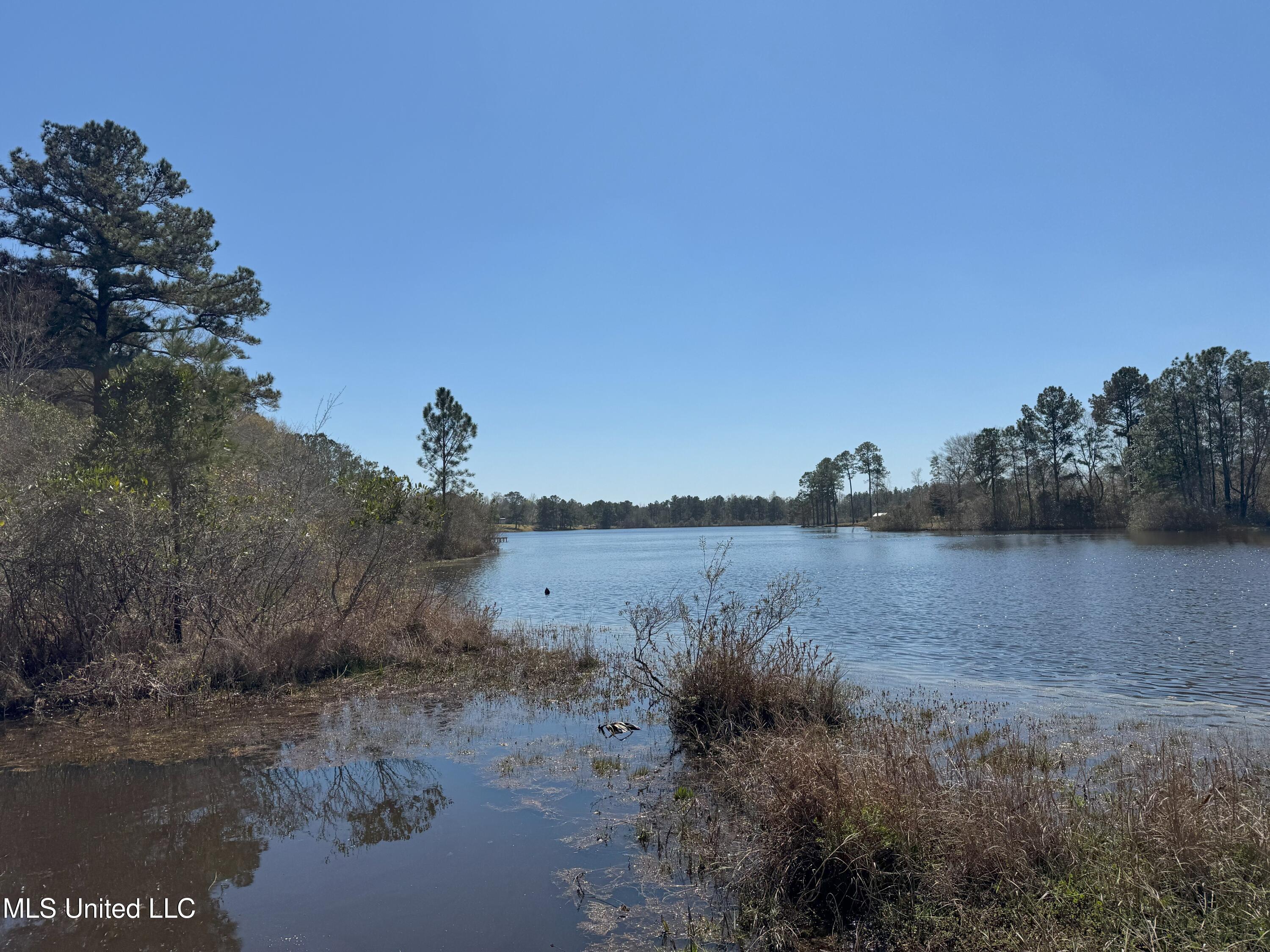 W Wortham Road, Saucier, Mississippi image 10