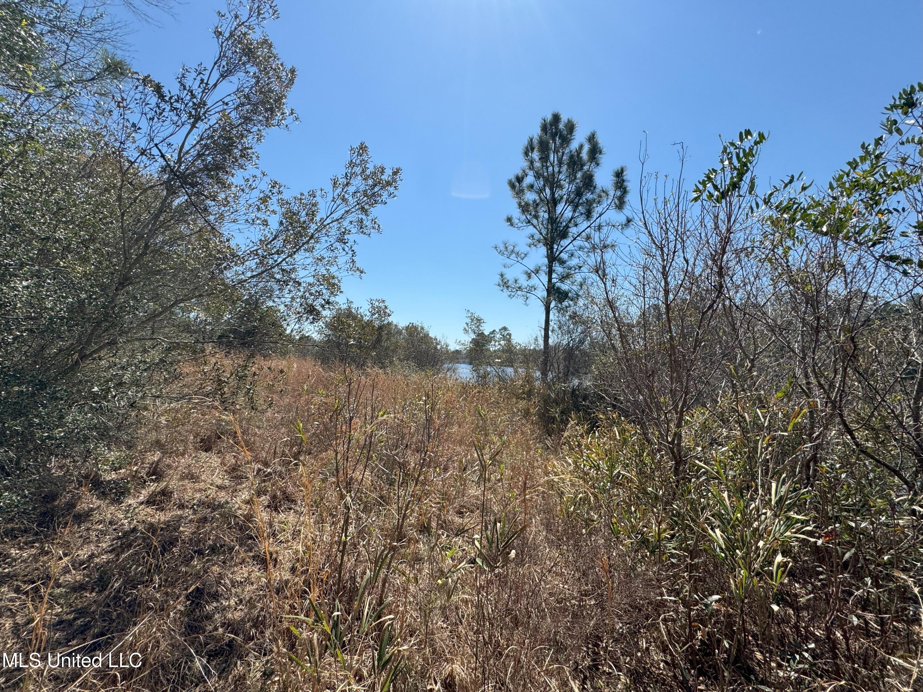 W Wortham Road, Saucier, Mississippi image 1