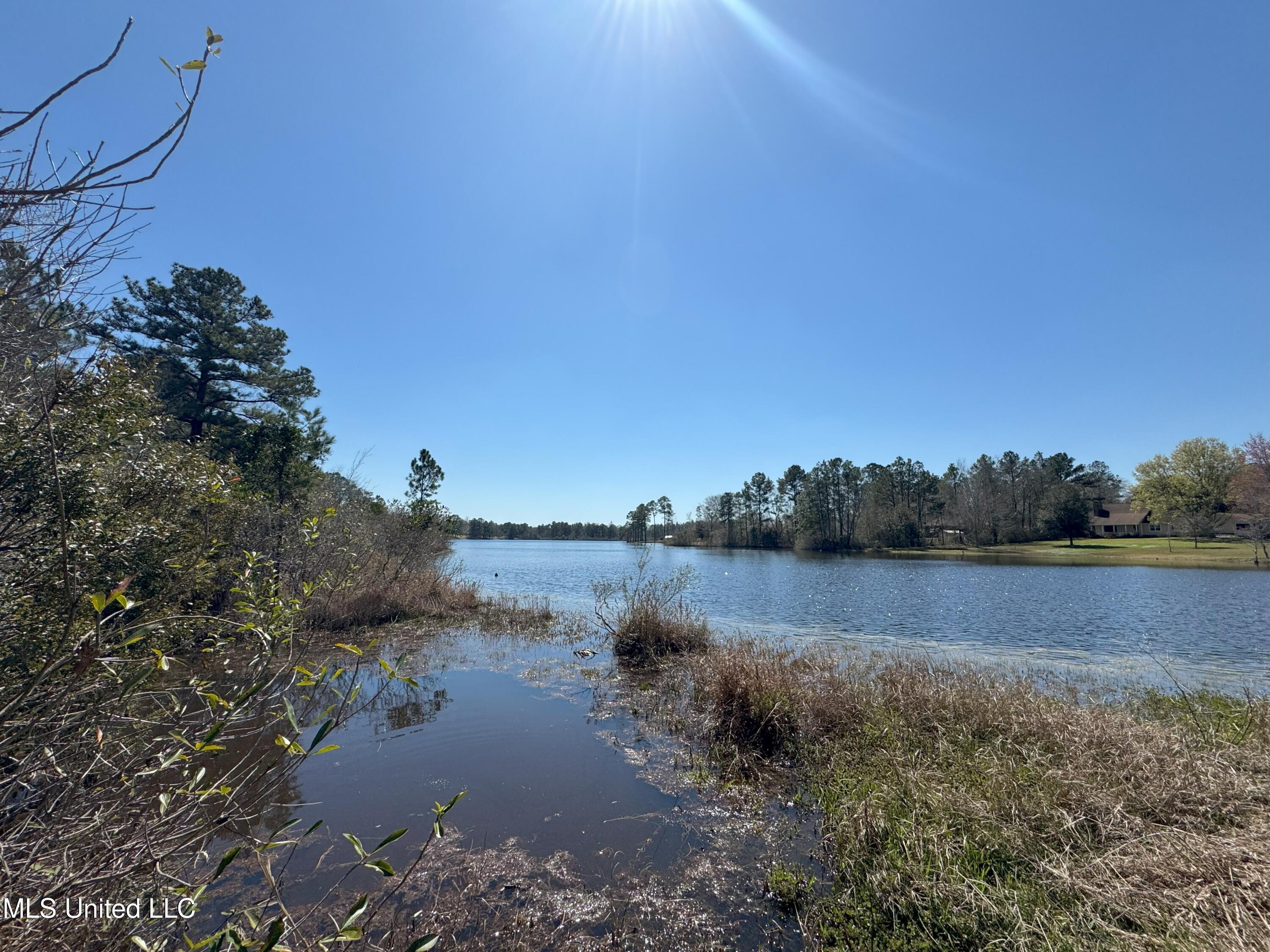 W Wortham Road, Saucier, Mississippi image 9