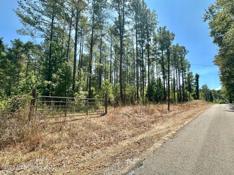 Vacant Land For Sale - 2 County Road 24<br/> Jasper County, Enterprise, MS 39330