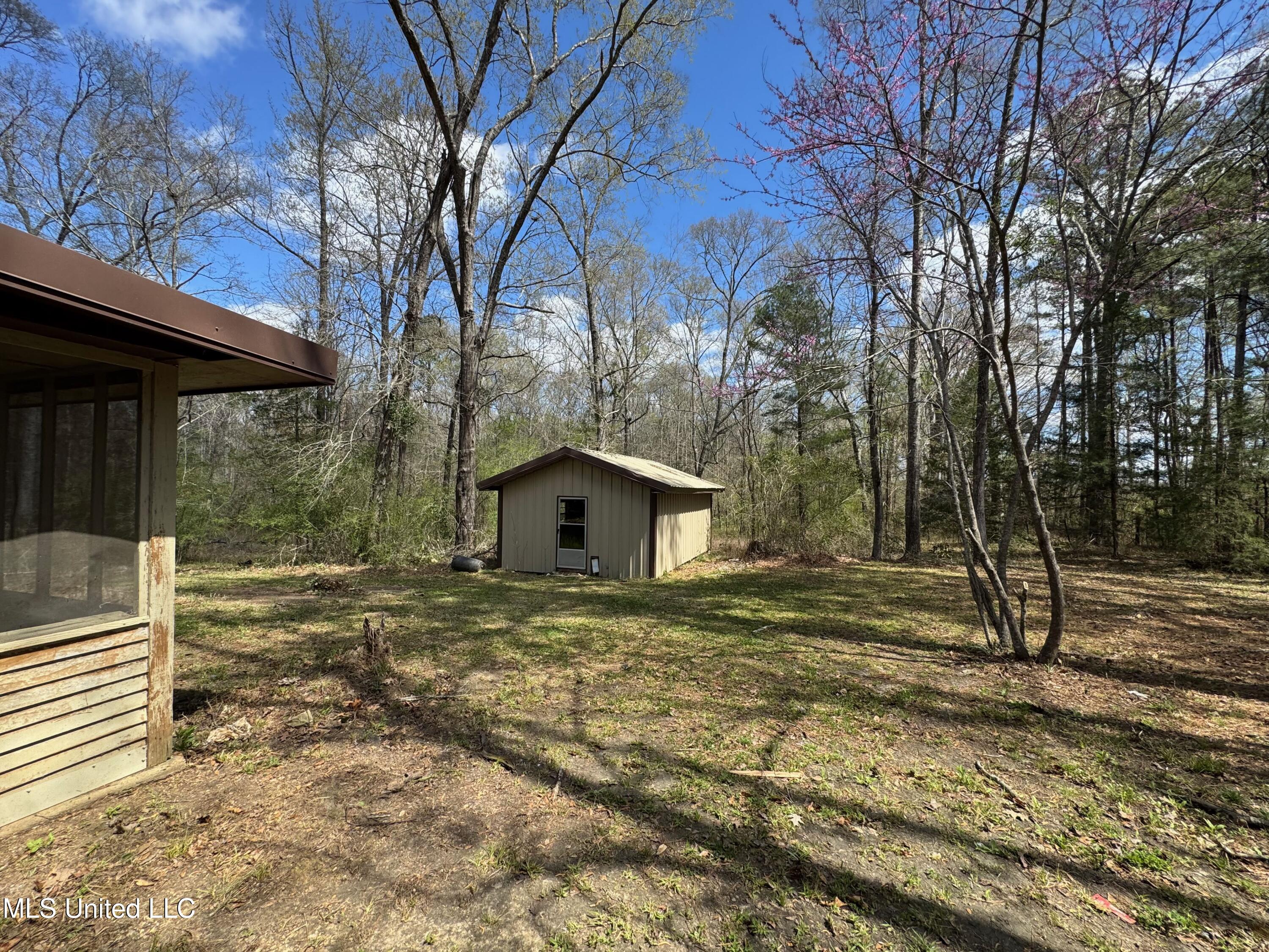 213 Hunters Lane, Brandon, Mississippi image 4