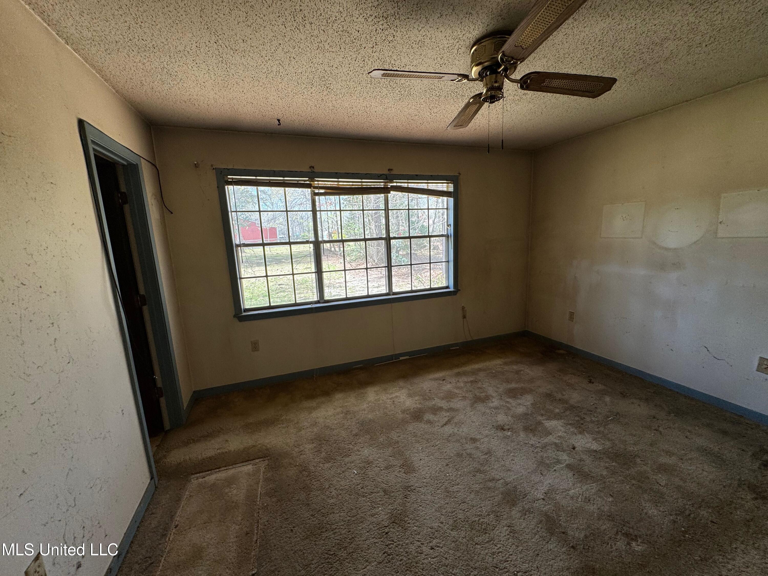 213 Hunters Lane, Brandon, Mississippi image 10