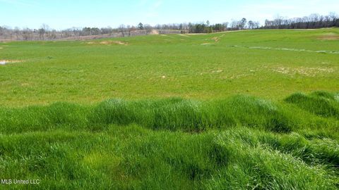 Vacant Land For Sale - 779 Graysport Crossing Road<br/> Gore Springs, MS 38929