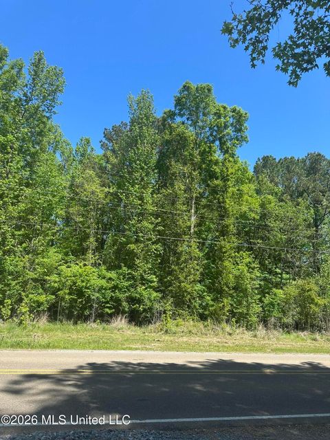 Vacant Land For Sale - Robinson Springs Road<br/> Madison, MS 39110