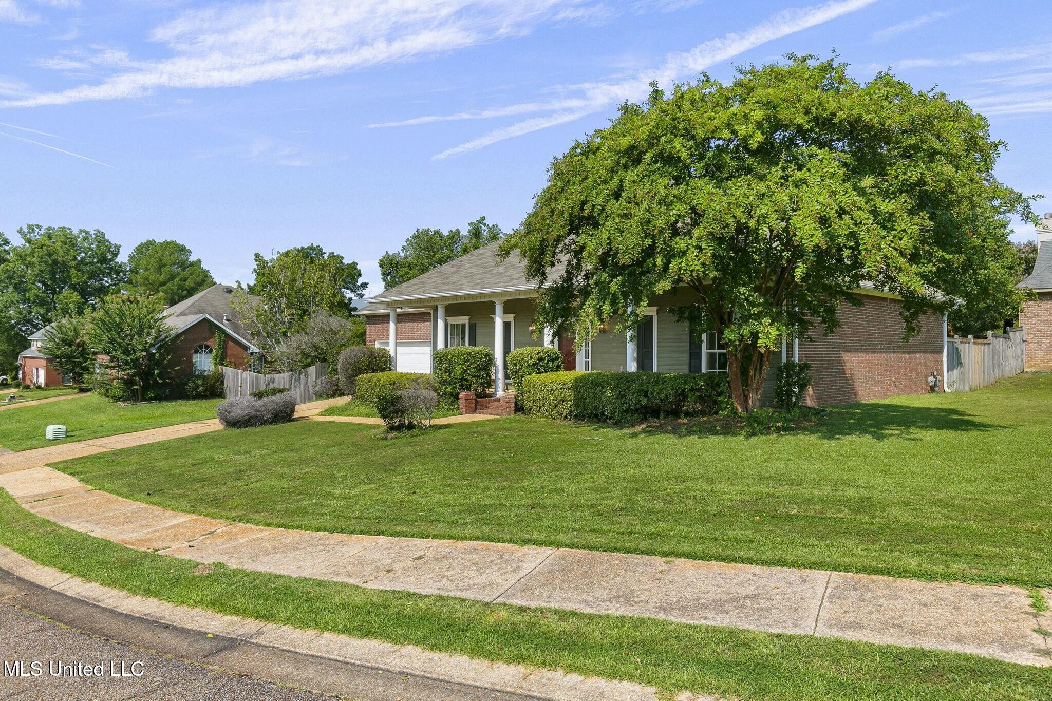 177 Apple Blossom Drive, Brandon, Mississippi image 3
